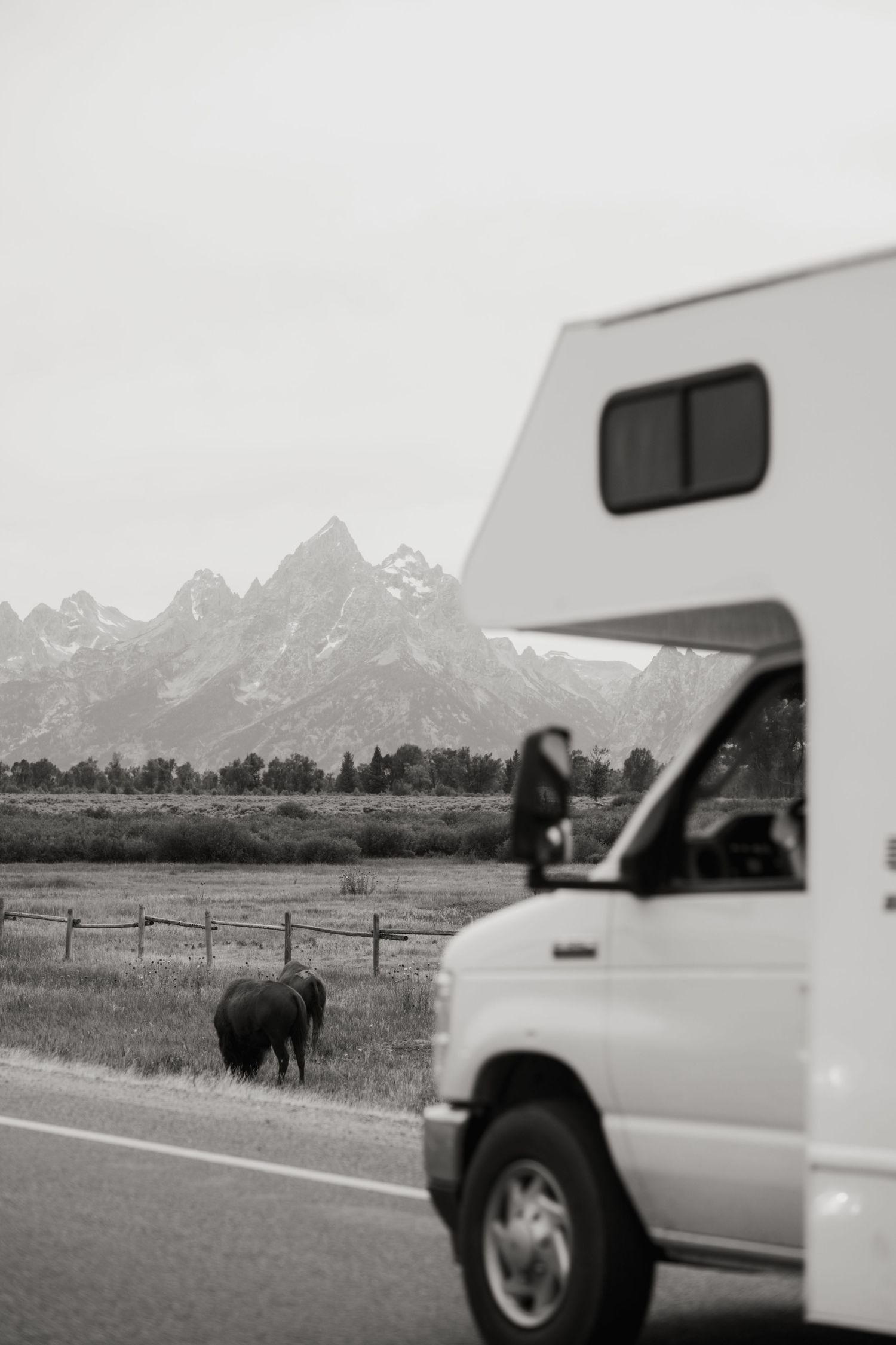 wyoming, jackson hole, jackson hole photographer, jackson hole photography, grand teton photographer,  wyoming, jackson hole nature