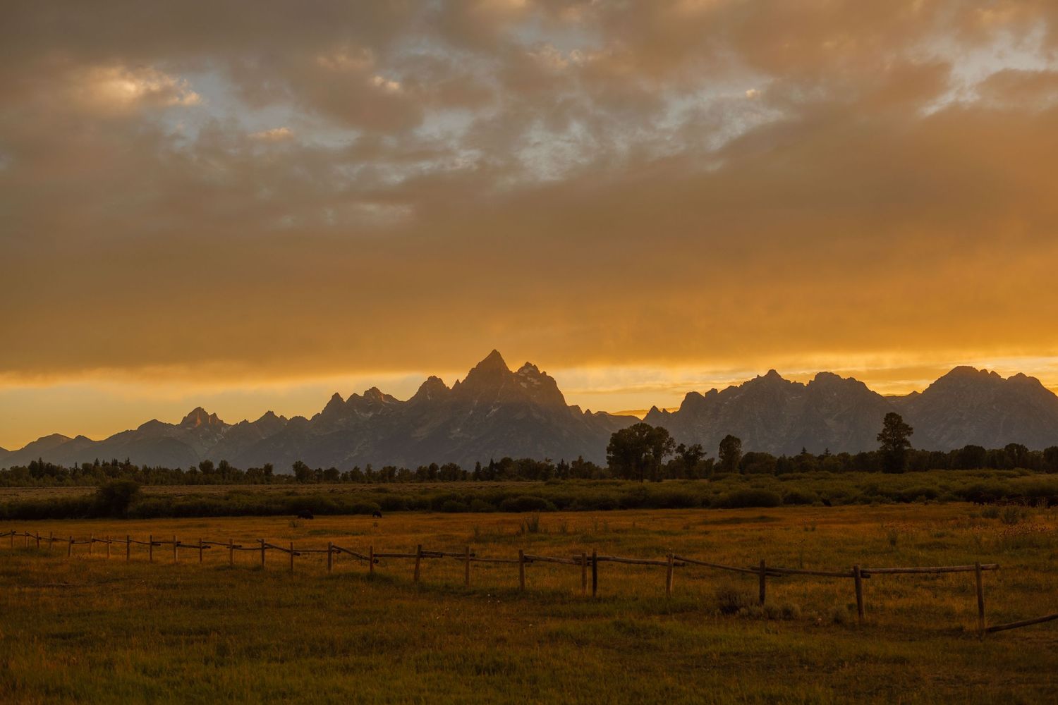 wyoming, jackson hole, jackson hole photographer, jackson hole photography, grand teton photographer,  wyoming, jackson hole nature