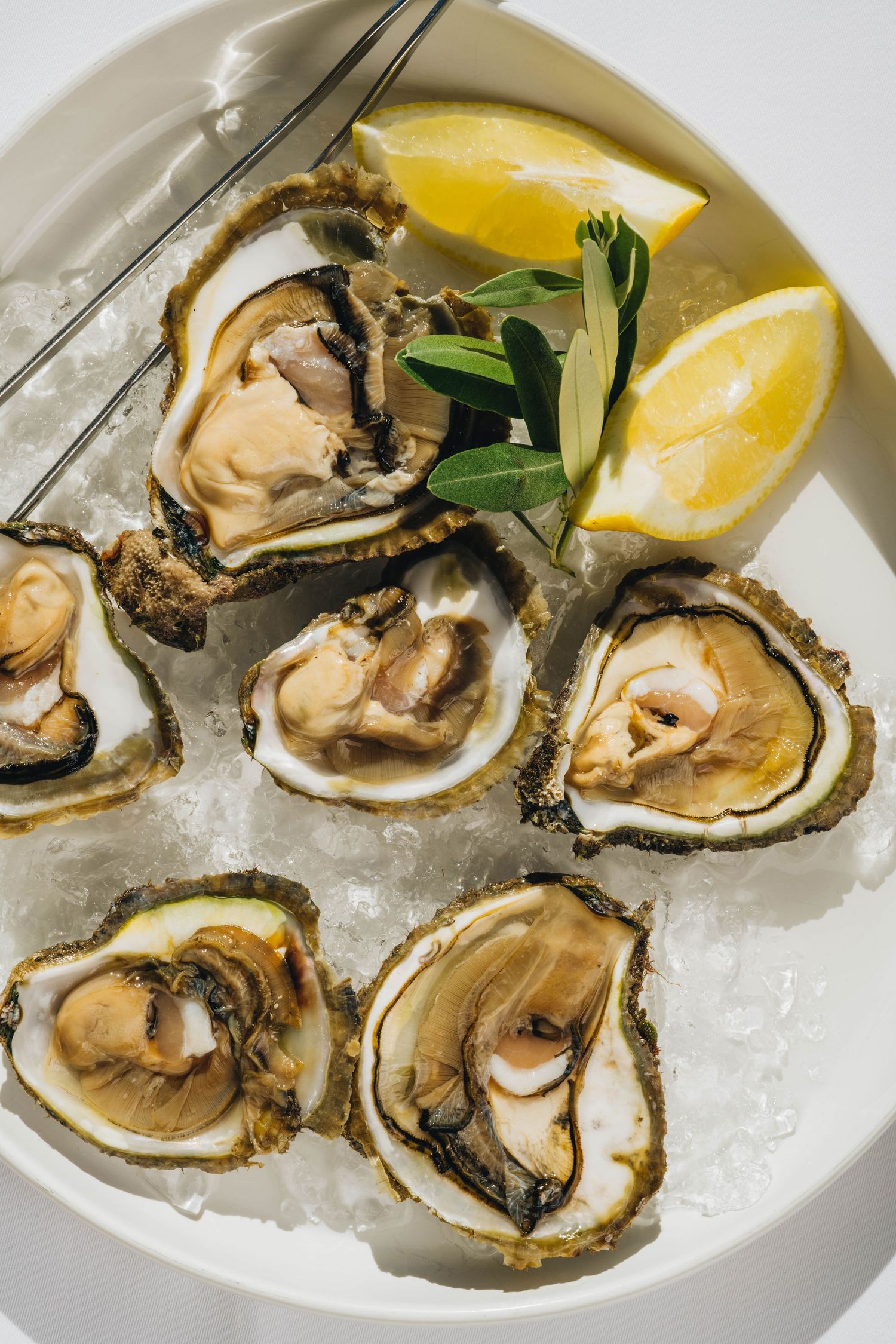 food photography porec, food photographer istria, food photography rovinj, food photographer porec, food photogrpaher rovinj