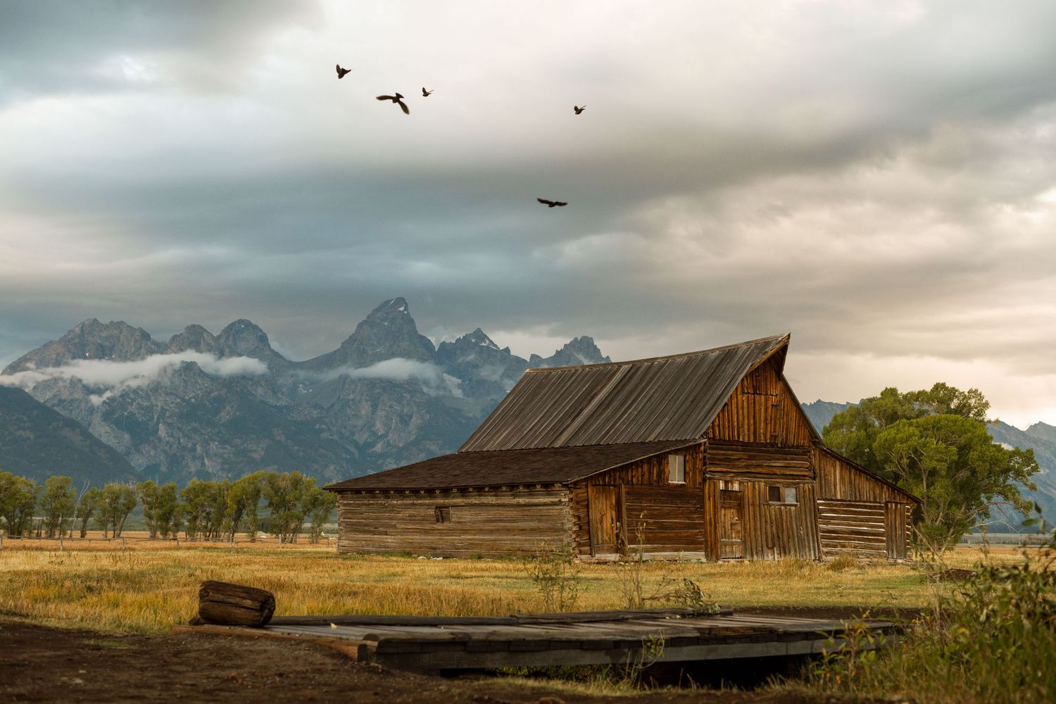 wyoming, jackson hole, jackson hole photographer, jackson hole photography, grand teton photographer,  wyoming, jackson hole nature