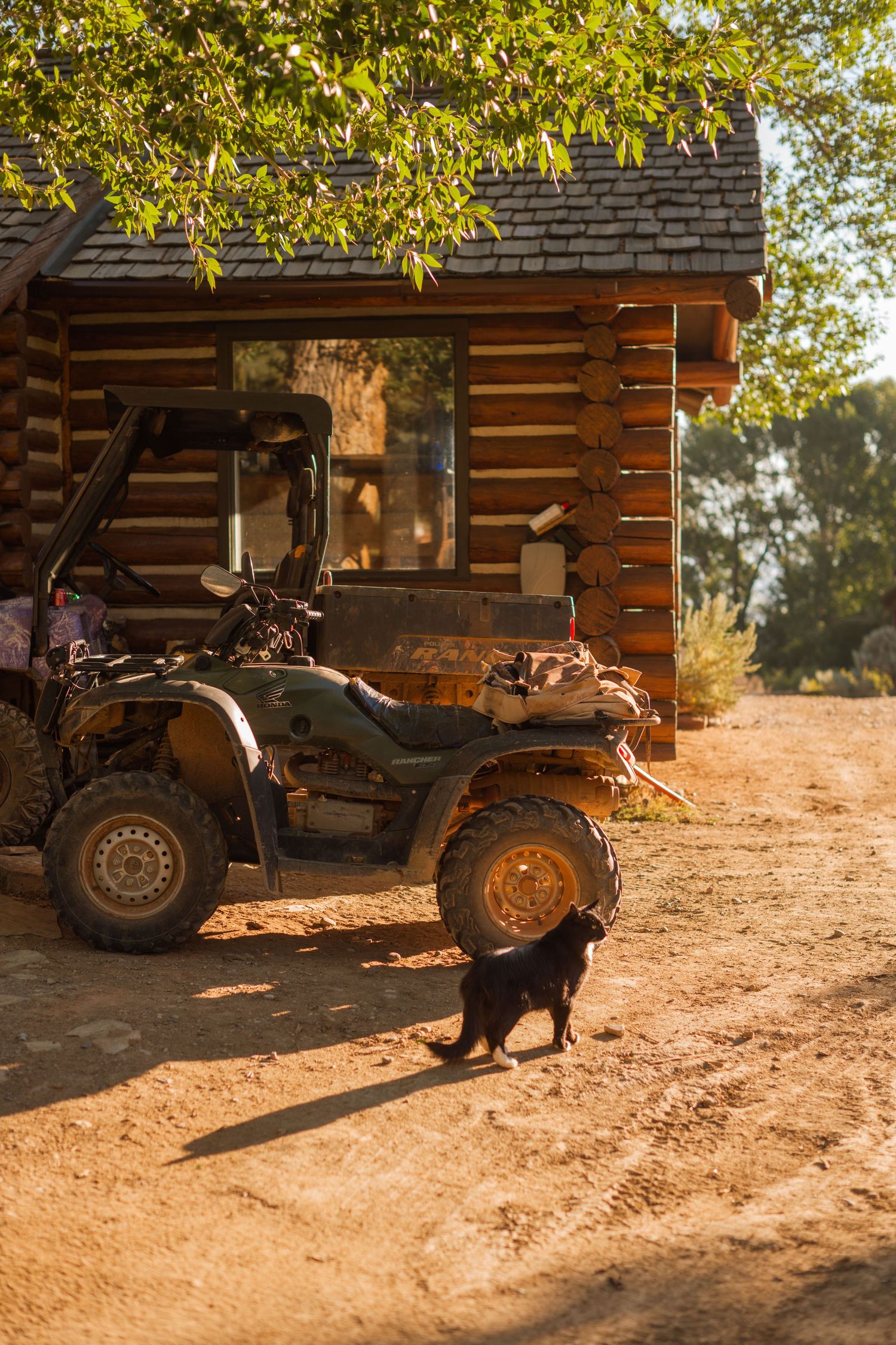 3 spear ranch cody wyoming, jackson hole, wyoming, jackson hole photographer, jackson hole photography, grand teton photographer