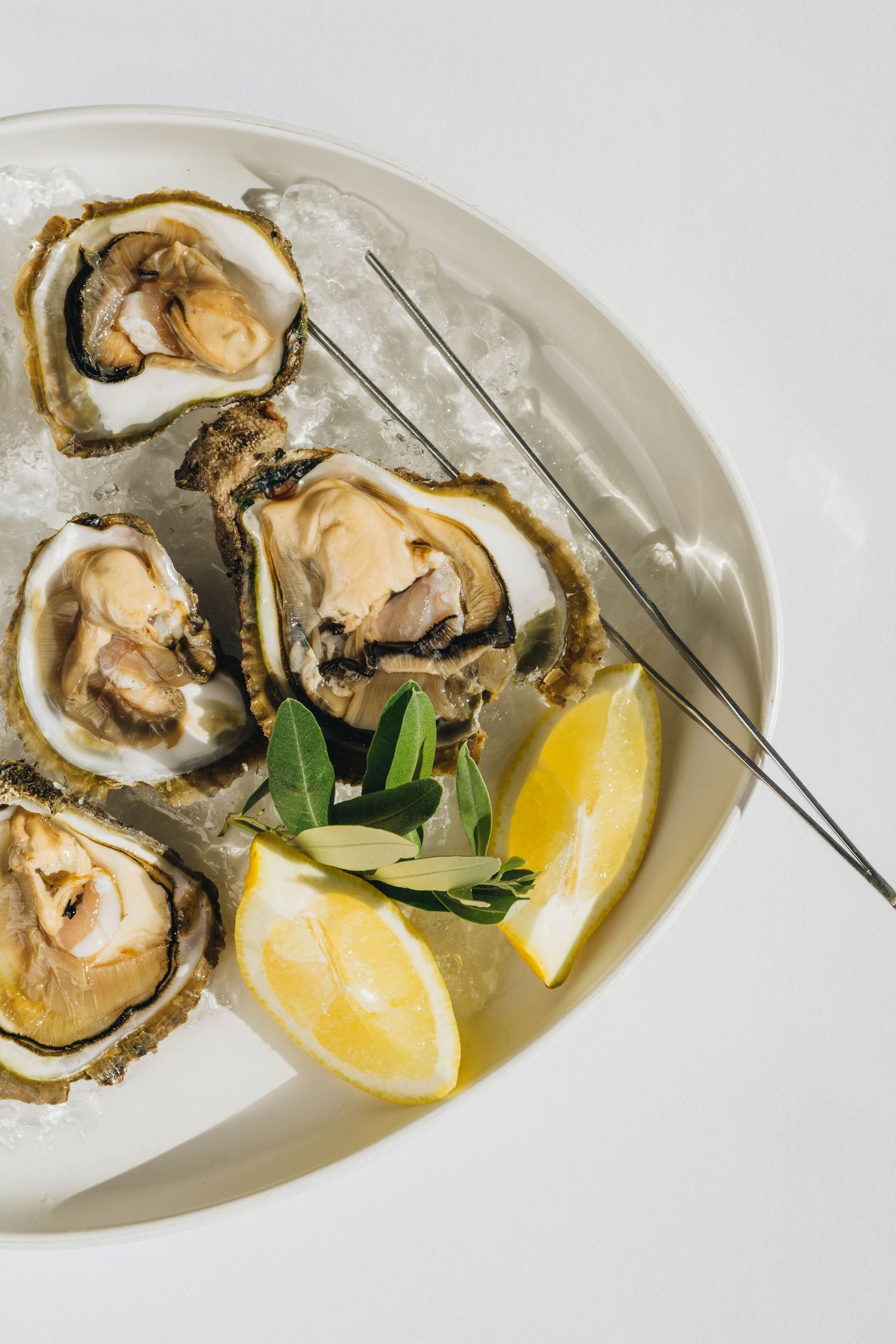 food photography porec, food photographer istria, food photography rovinj, food photographer porec, food photogrpaher rovinj