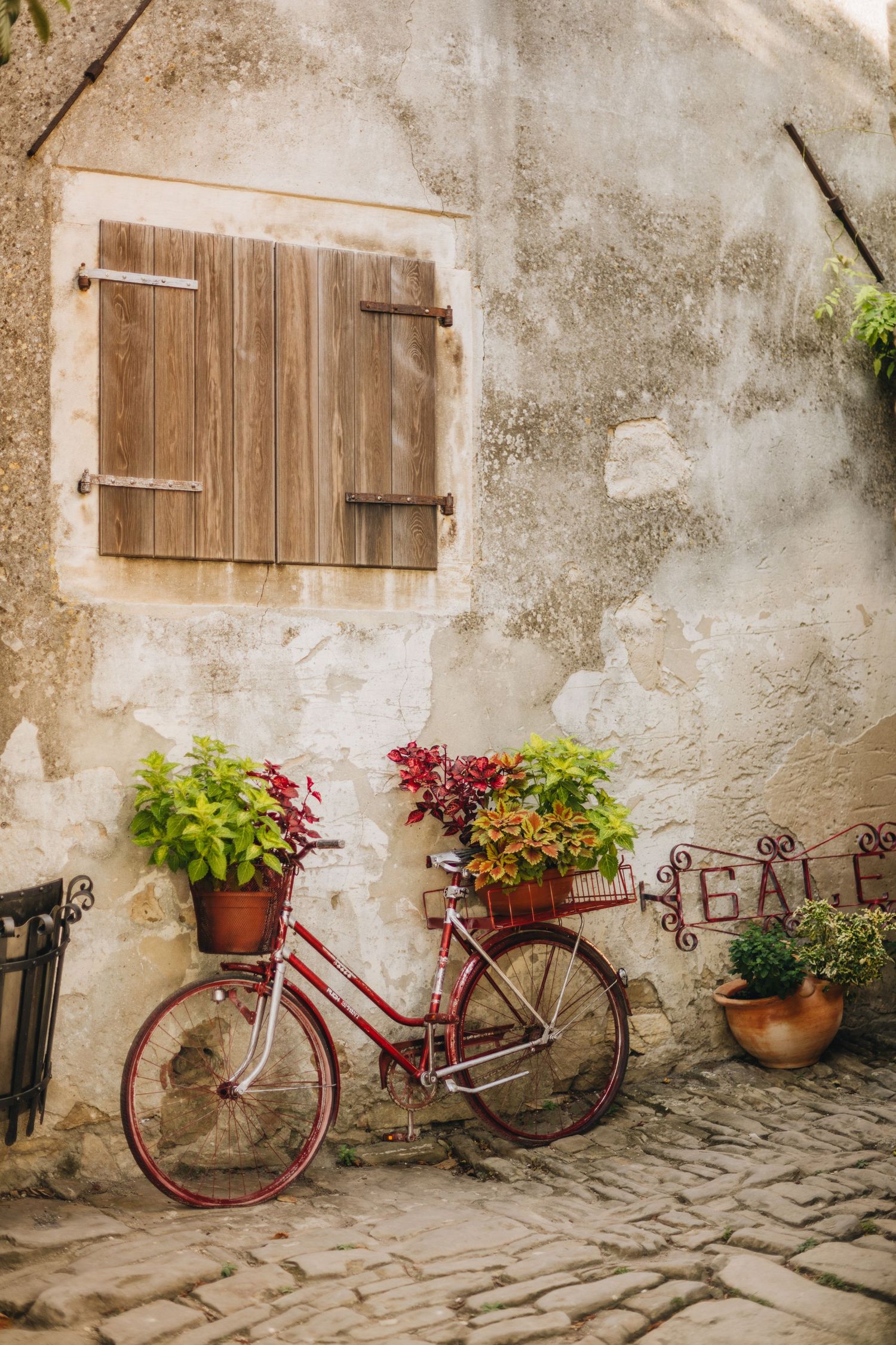 istria photographer, istra photoragpher, croatia photographer, event photographer istria, porec photographer, rovinj photographer, groznjan