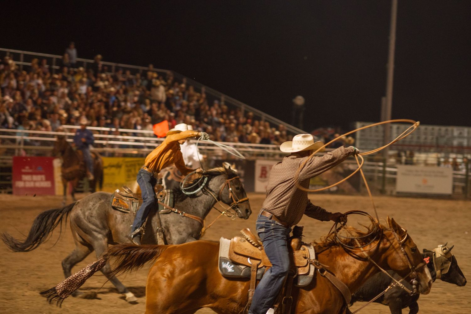 wyoming, jackson hole, jackson hole photographer, jackson hole photography, grand teton photographer, rodeo wyoming, jackson hole rodeo