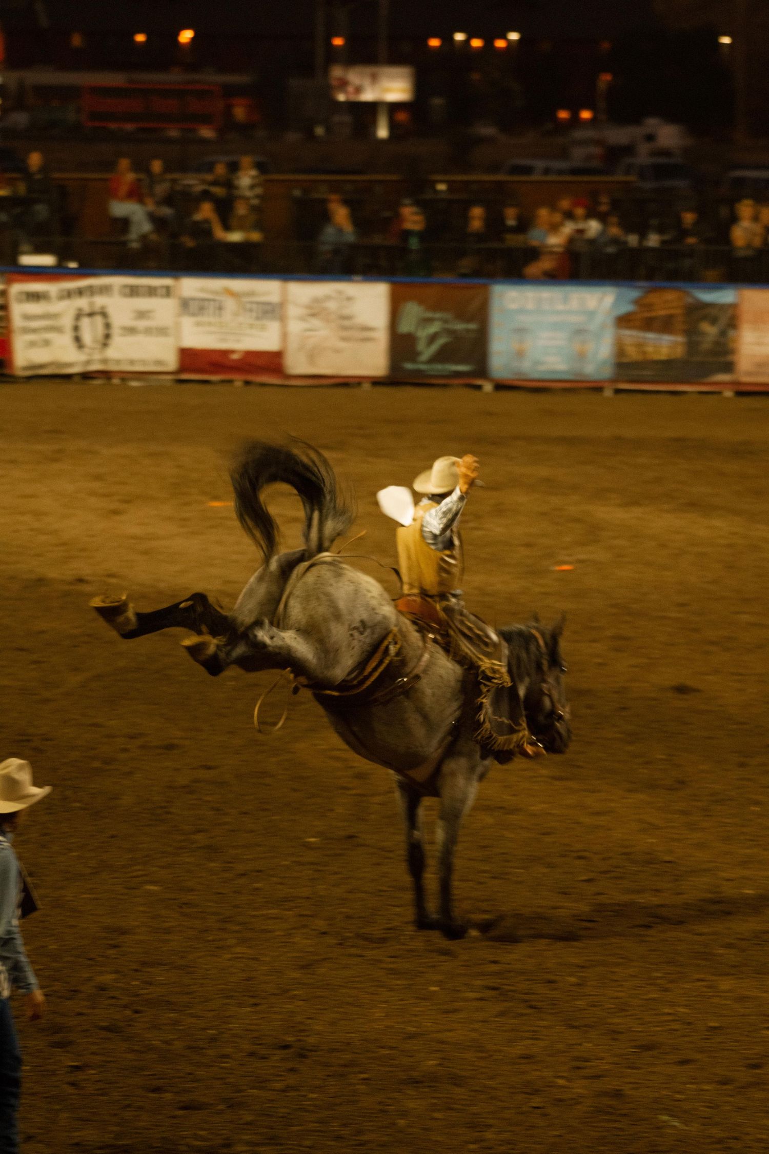 wyoming, jackson hole, wyoming, jackson hole photographer, jackson hole photography, grand teton photographer, rodeo wyoming, cody rodeo