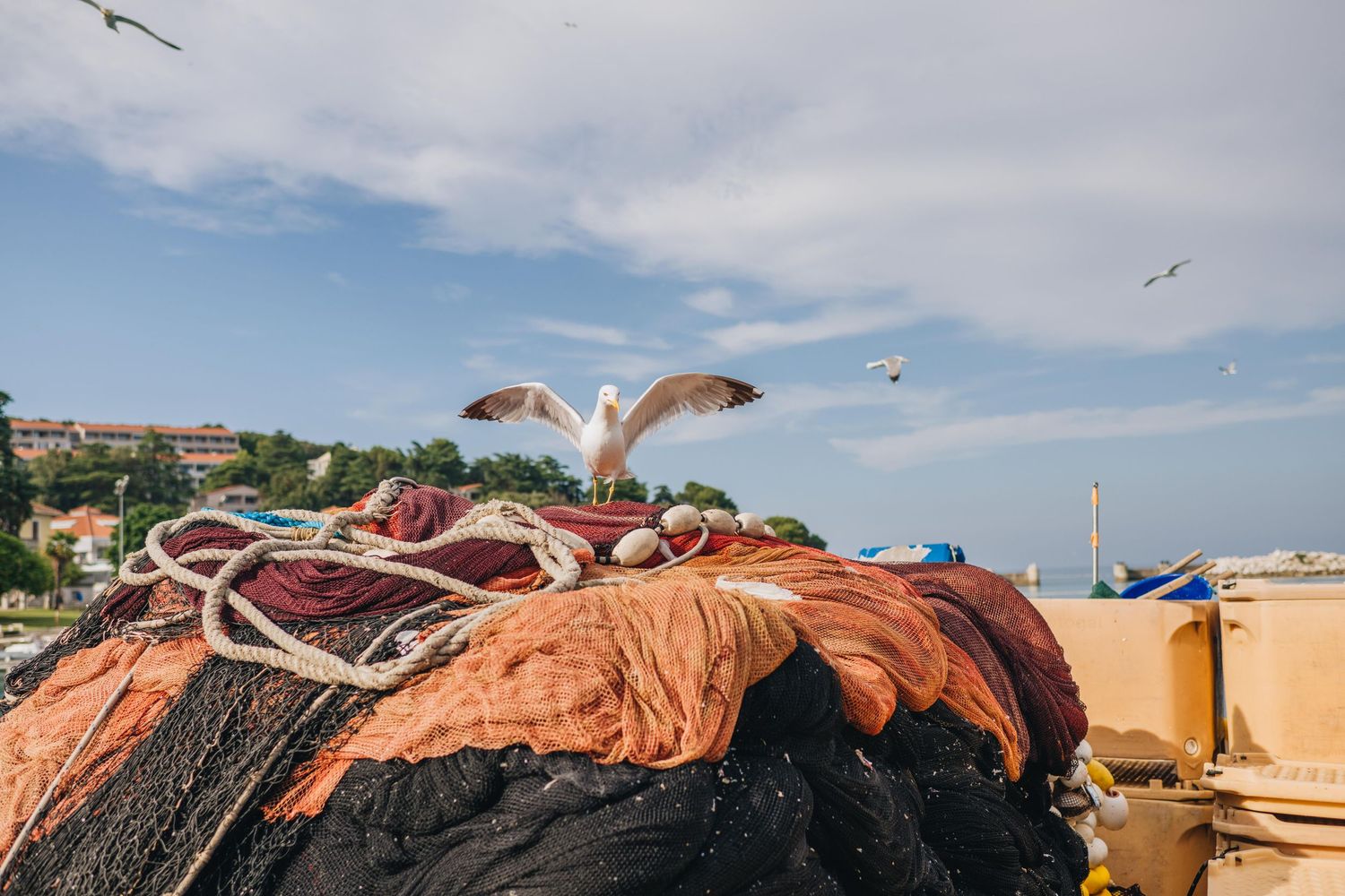 istria photographer, istra photoragpher, croatia photographer, event photographer istria, porec photographer, rovinj photographer