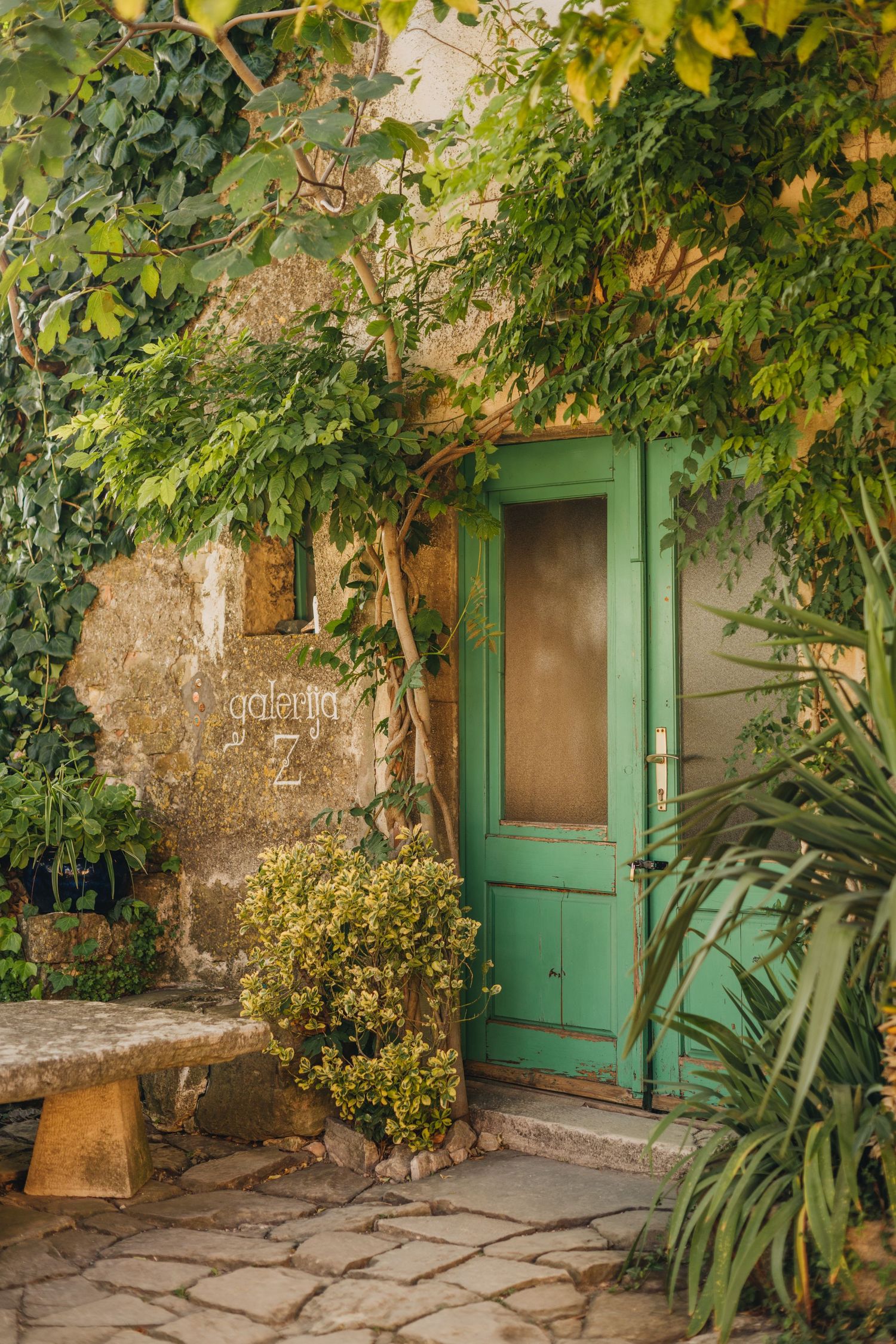 istria photographer, istra photoragpher, croatia photographer, event photographer istria, porec photographer, rovinj photographer, groznjan