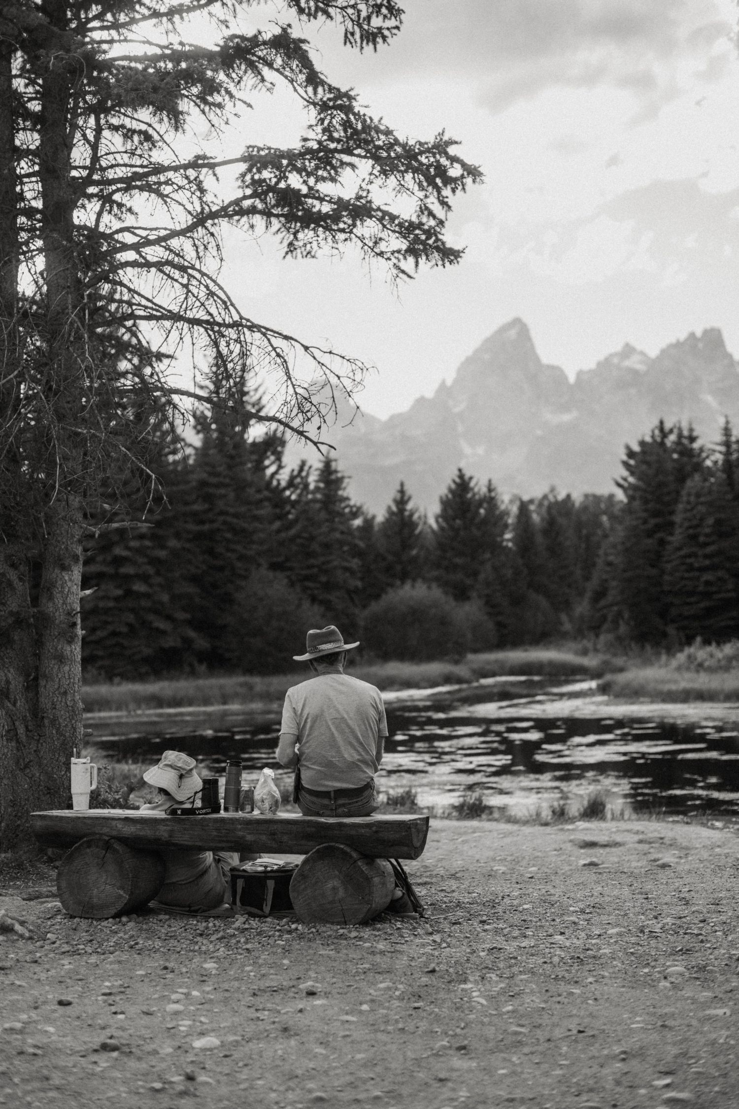 jackson hole, wyoming, jackson hole photographer, jackson hole photography, grand teton photographer, jackson hole nature photographer