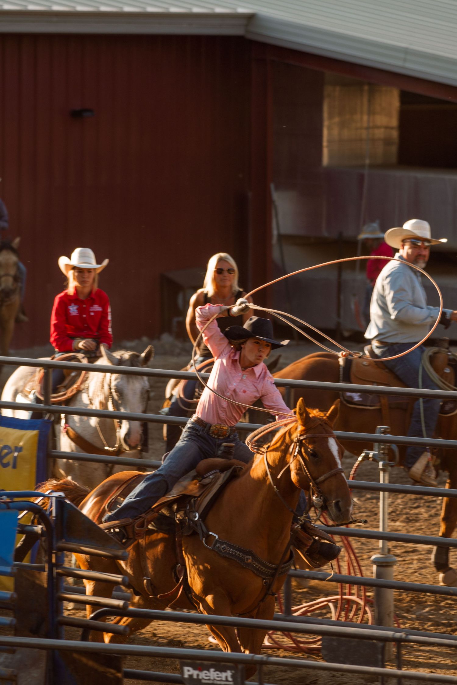 wyoming, jackson hole, jackson hole photographer, jackson hole photography, grand teton photographer, rodeo wyoming, jackson hole rodeo
