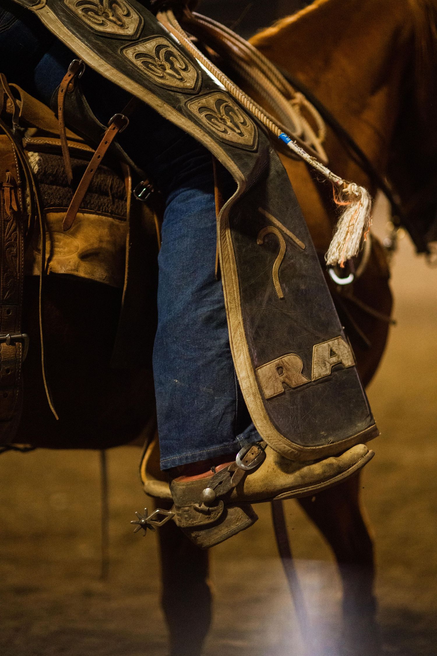 wyoming, jackson hole, wyoming, jackson hole photographer, jackson hole photography, grand teton photographer, rodeo wyoming, cody rodeo