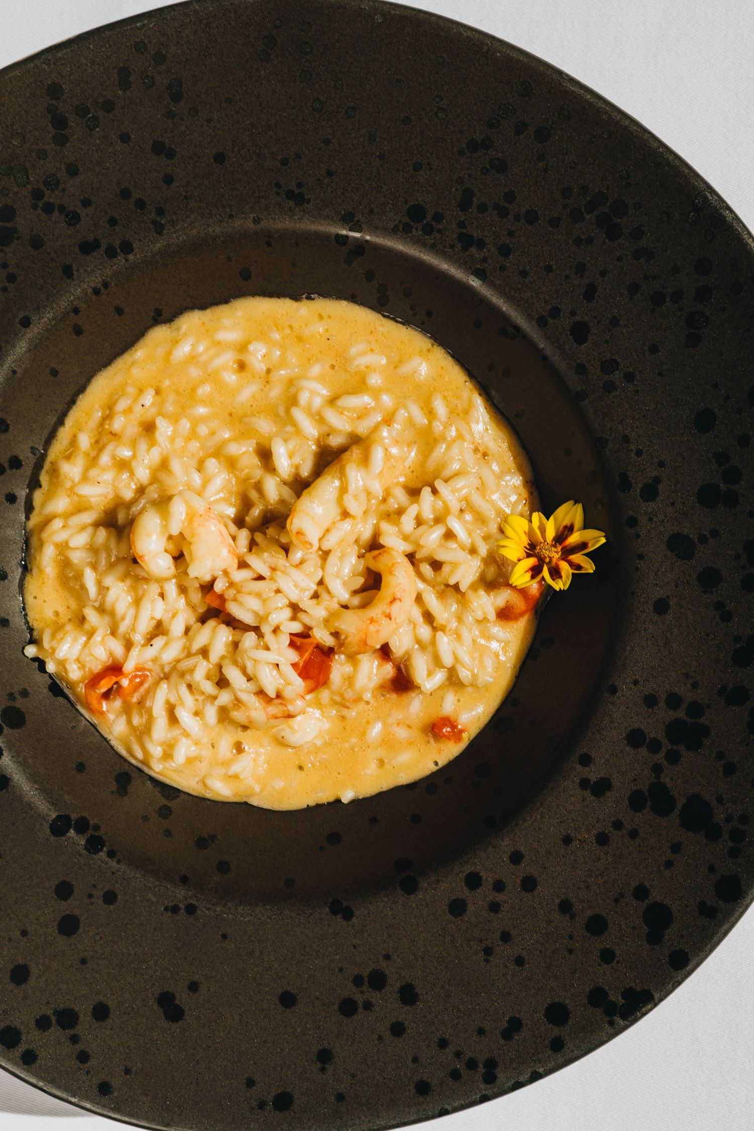 food photography porec,food photographer istria, food photography rovinj, food photographer porec, food photogrpaher,rovinj food photography