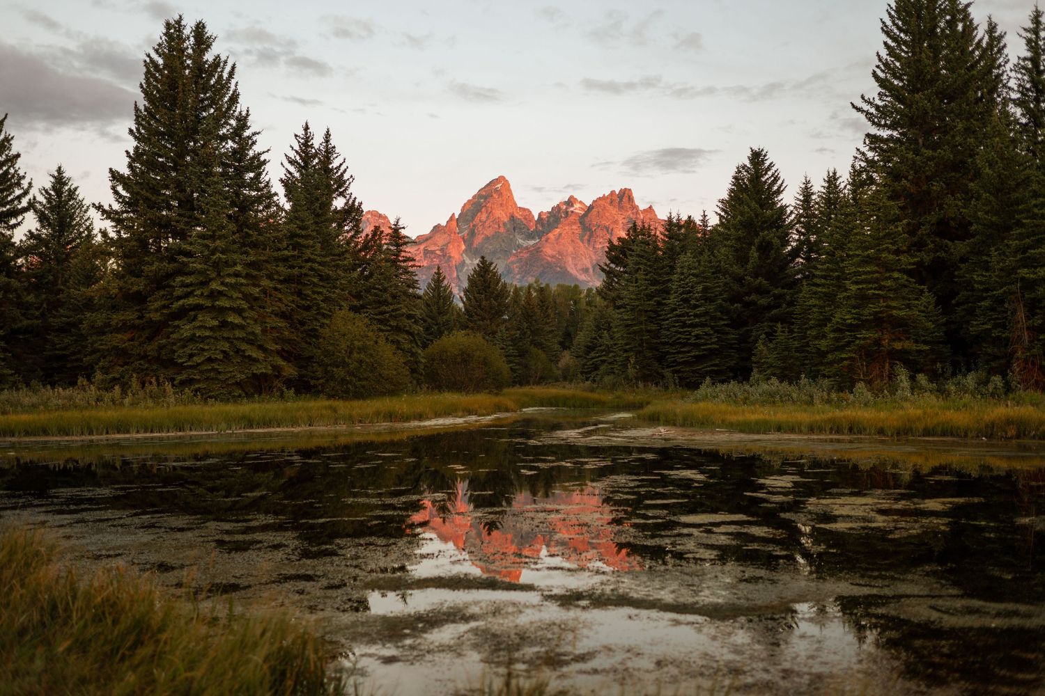 3 spear ranch cody wyoming, jackson hole, wyoming, jackson hole photographer, jackson hole photography, grand teton photographer
