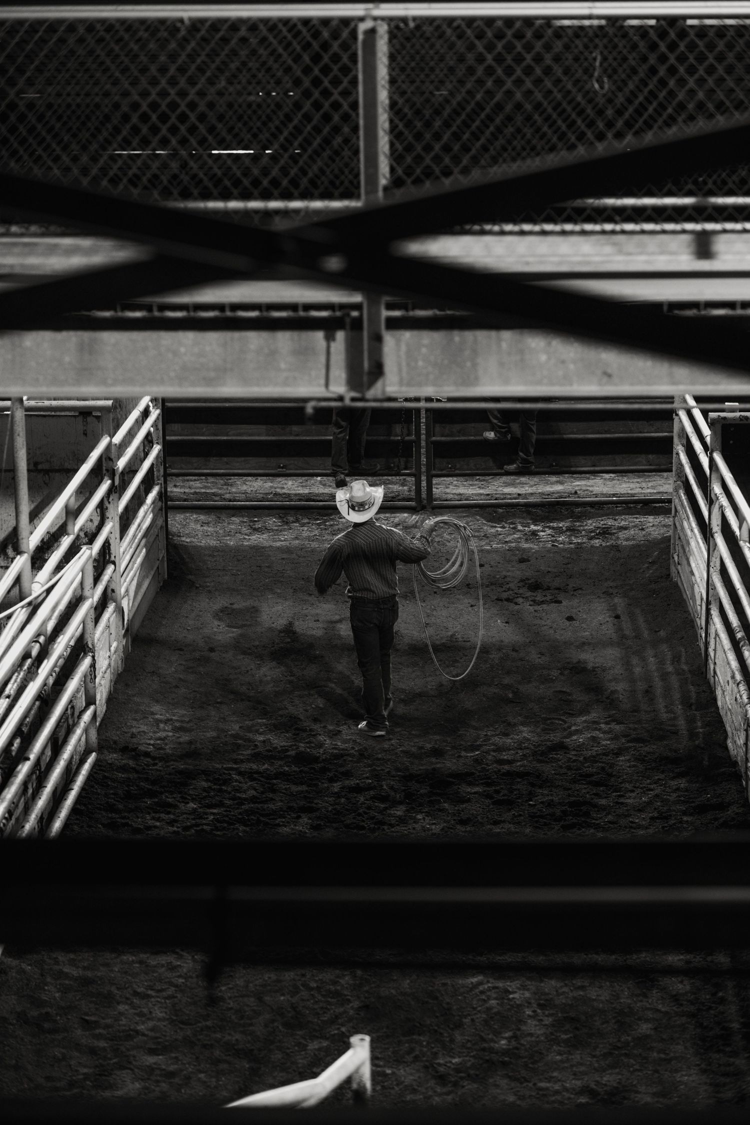 wyoming, jackson hole, wyoming, jackson hole photographer, jackson hole photography, grand teton photographer, rodeo wyoming, cody rodeo