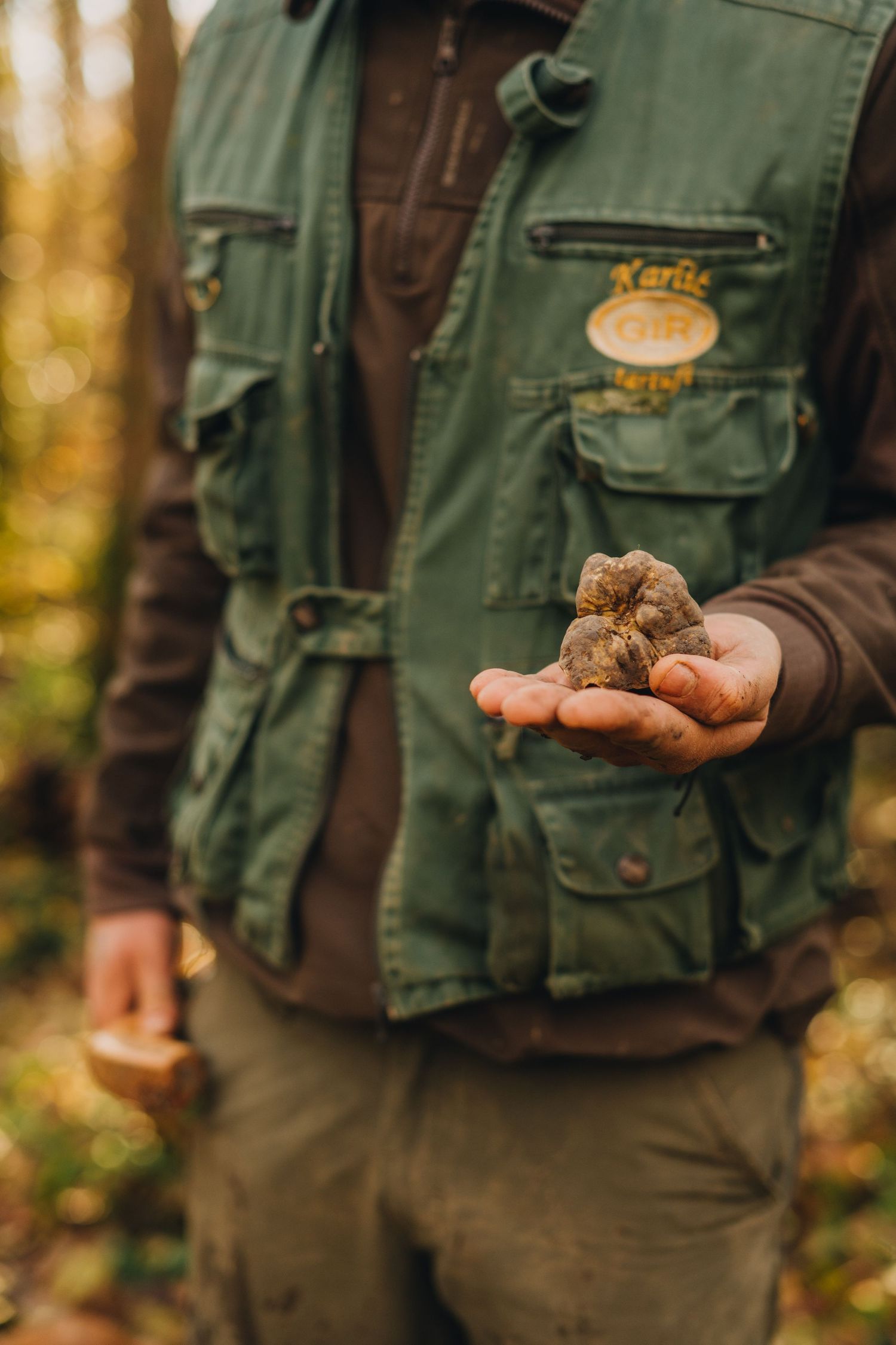event photography porec, food photographer istria, food photographer istra, event photographer rovinj, karlic tartufi, truffle hunting istra