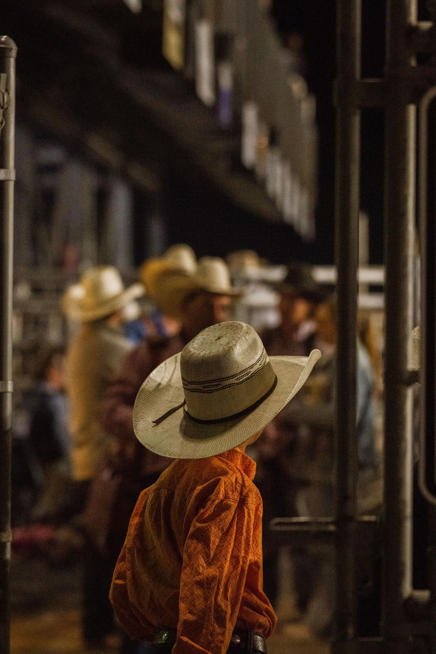 wyoming, jackson hole, jackson hole photographer, jackson hole photography, grand teton photographer, rodeo wyoming, jackson hole rodeo