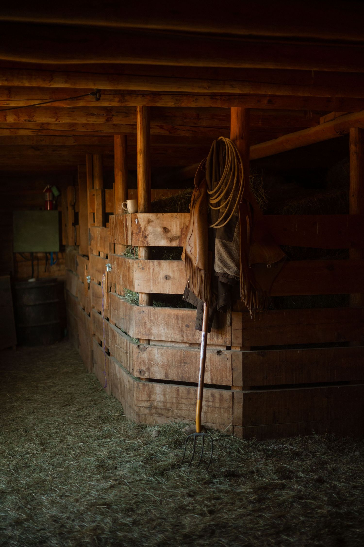 3 spear ranch cody wyoming, jackson hole, wyoming, jackson hole photographer, jackson hole photography, grand teton photographer