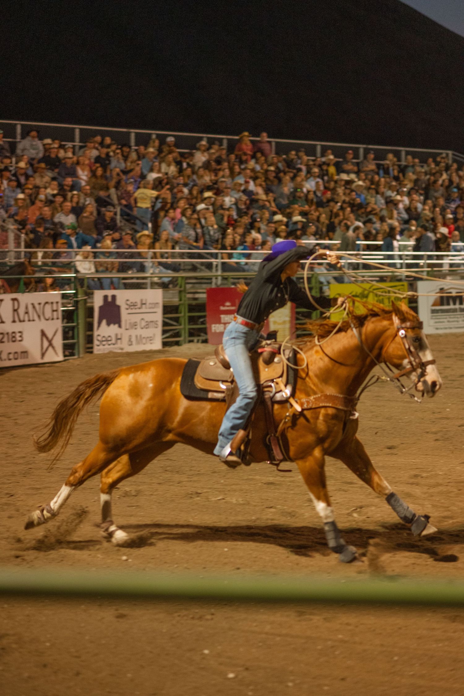 wyoming, jackson hole, jackson hole photographer, jackson hole photography, grand teton photographer, rodeo wyoming, jackson hole rodeo