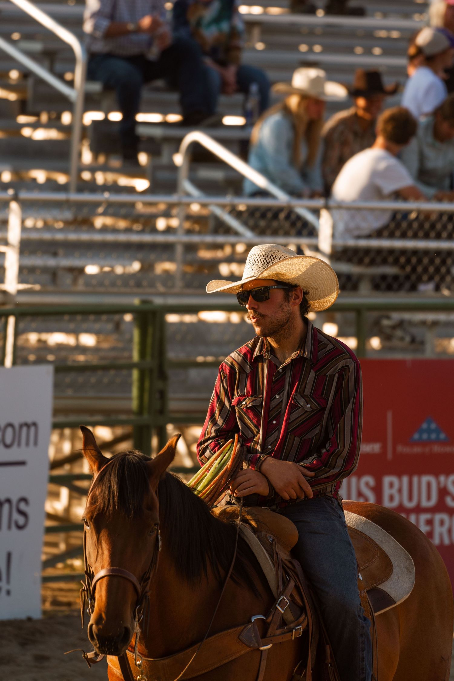 wyoming, jackson hole, jackson hole photographer, jackson hole photography, grand teton photographer, rodeo wyoming, jackson hole rodeo