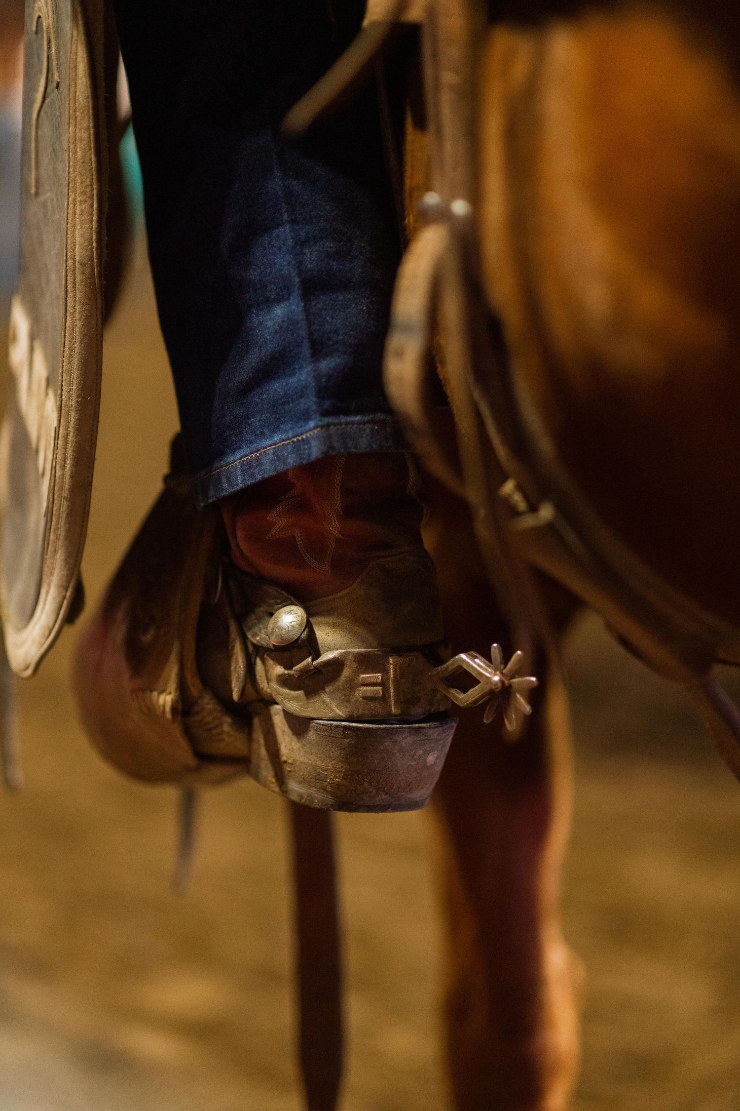 wyoming, jackson hole, wyoming, jackson hole photographer, jackson hole photography, grand teton photographer, rodeo wyoming, cody rodeo