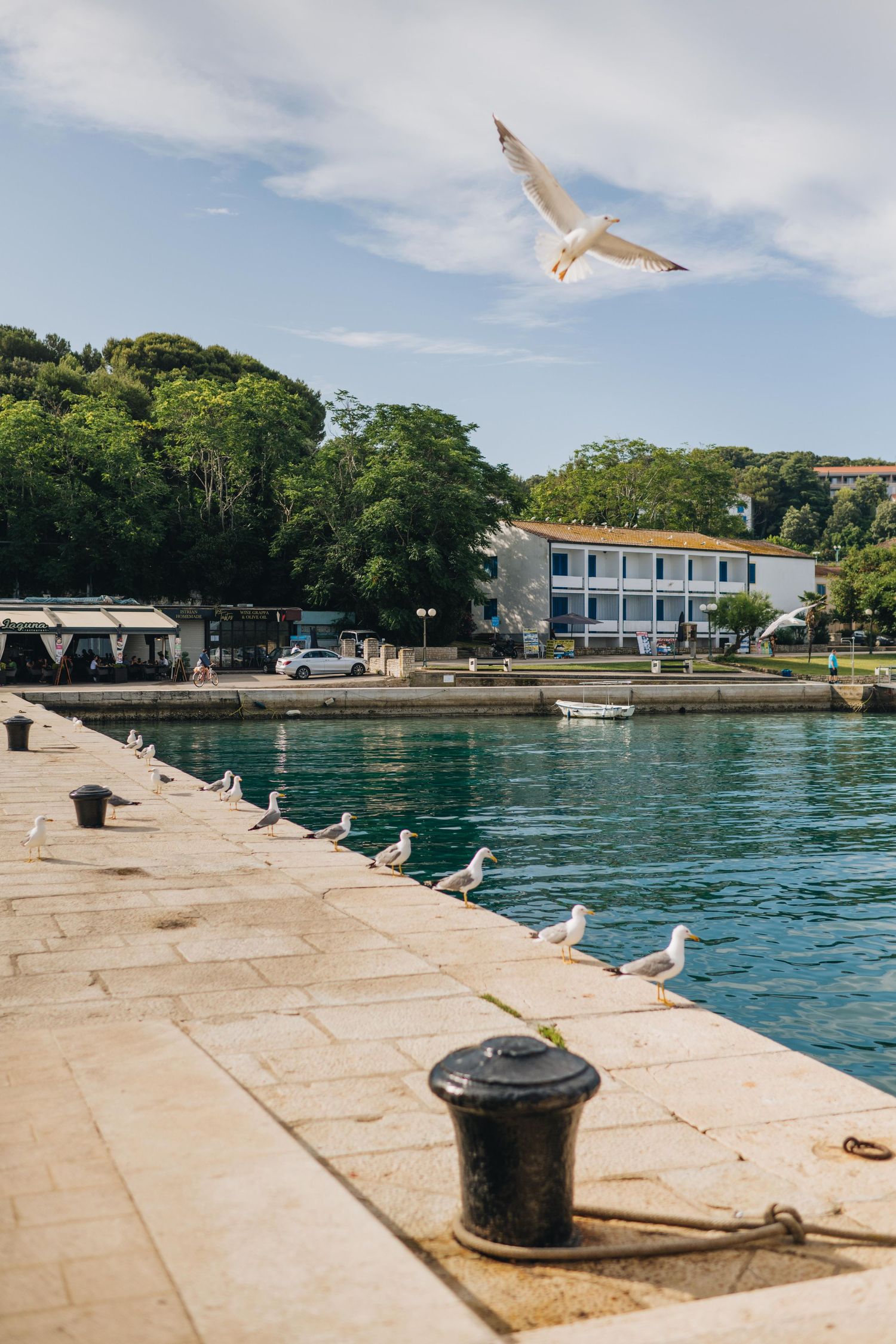 istria photographer, istra photoragpher, croatia photographer, event photographer istria, porec photographer, rovinj photographer