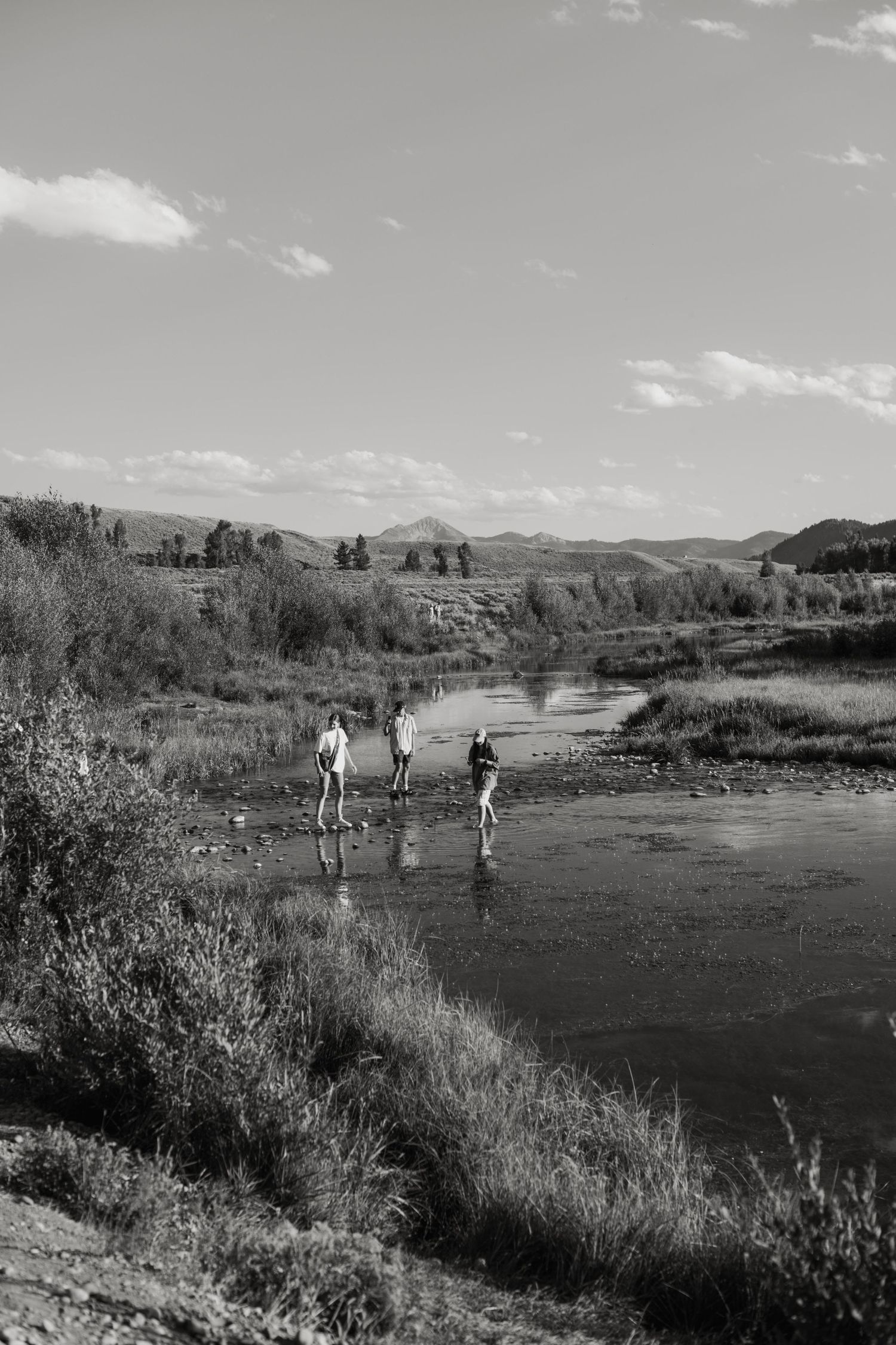 jackson hole, wyoming, jackson hole photographer, jackson hole photography, grand teton photographer, jackson hole nature photographer