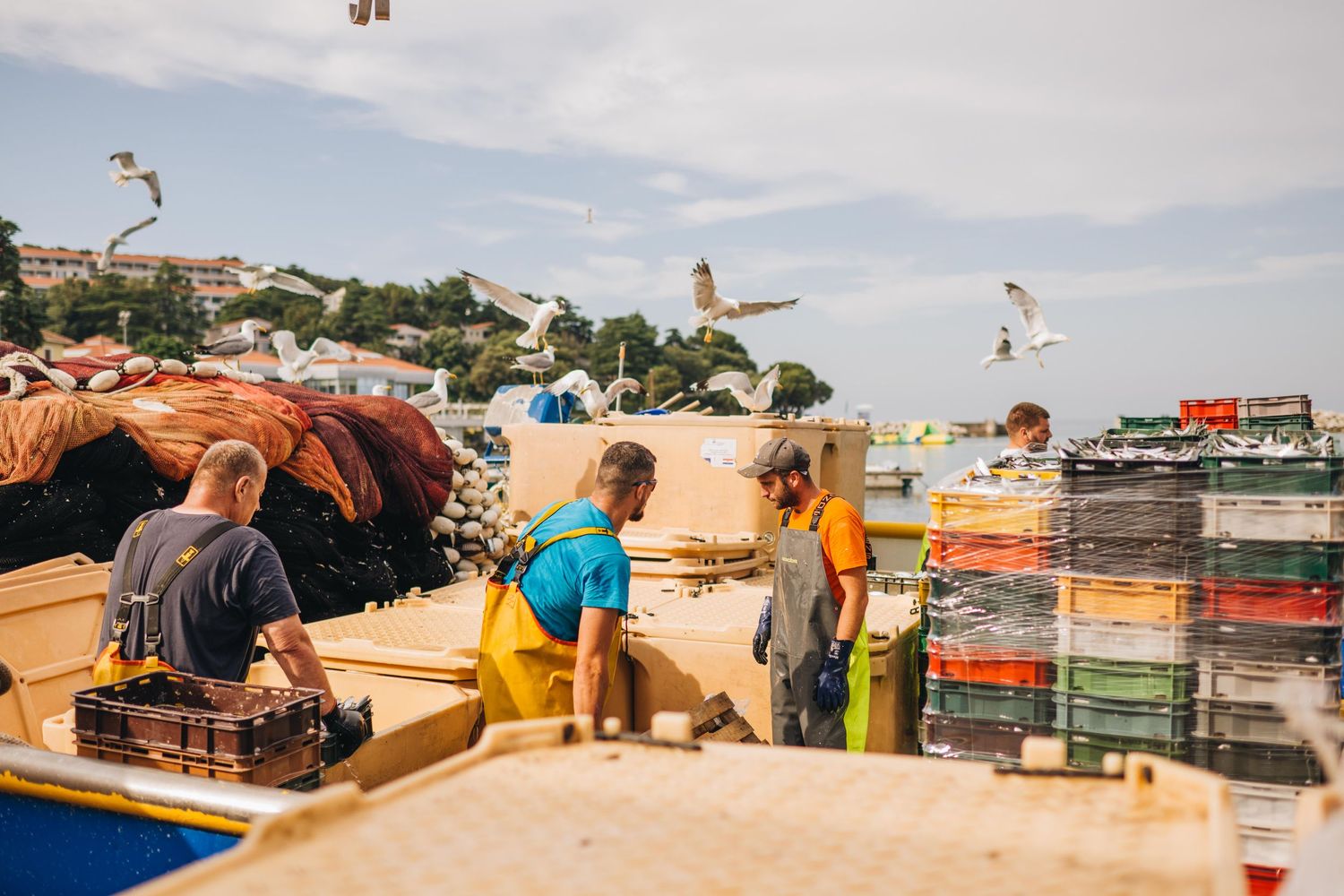 istria photographer, istra photoragpher, croatia photographer, event photographer istria, porec photographer, rovinj photographer