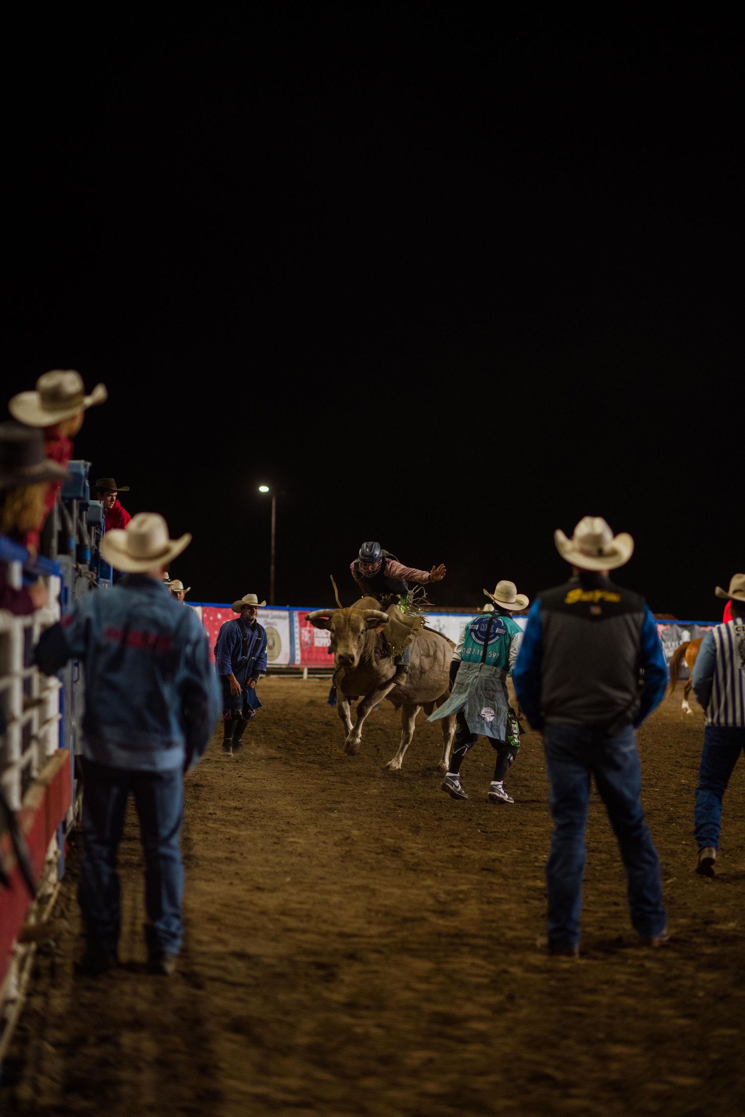 wyoming, jackson hole, wyoming, jackson hole photographer, jackson hole photography, grand teton photographer, rodeo wyoming, cody rodeo