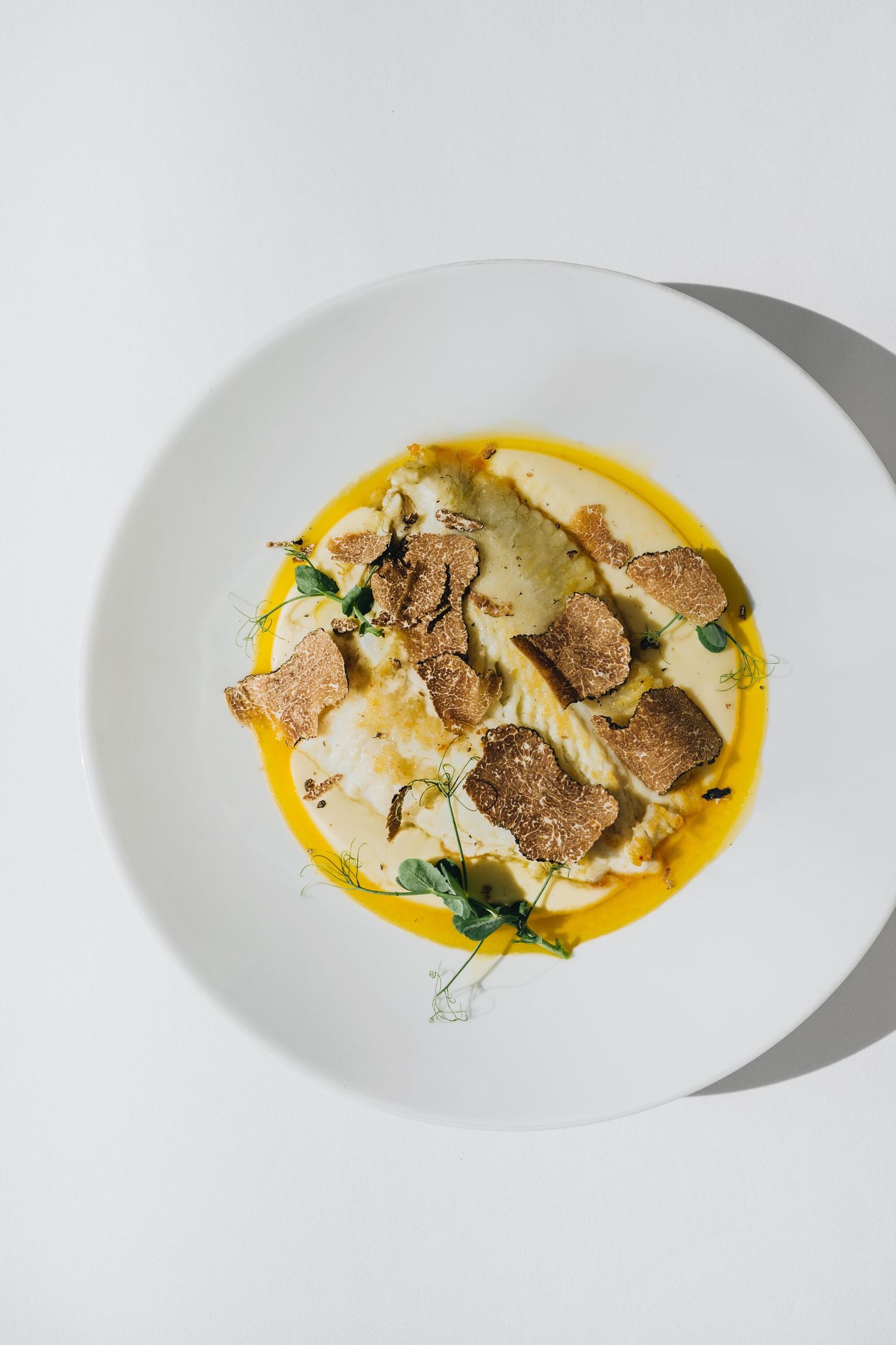 Truffle Pasta in Istria – Authentic Istrian Cuisine with Fresh Local Truffles. Istrian truffle pasta
Truffle dishes Croatia
Istria food phot