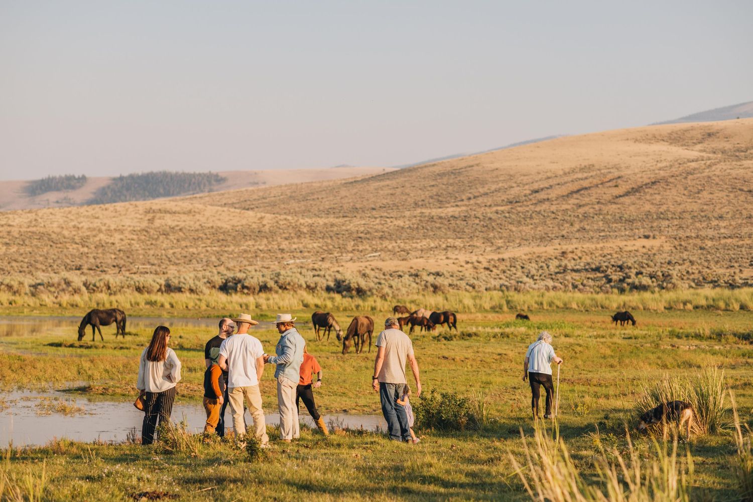 3 spear ranch cody wyoming, jackson hole, wyoming, jackson hole photographer, jackson hole photography, grand teton photographer