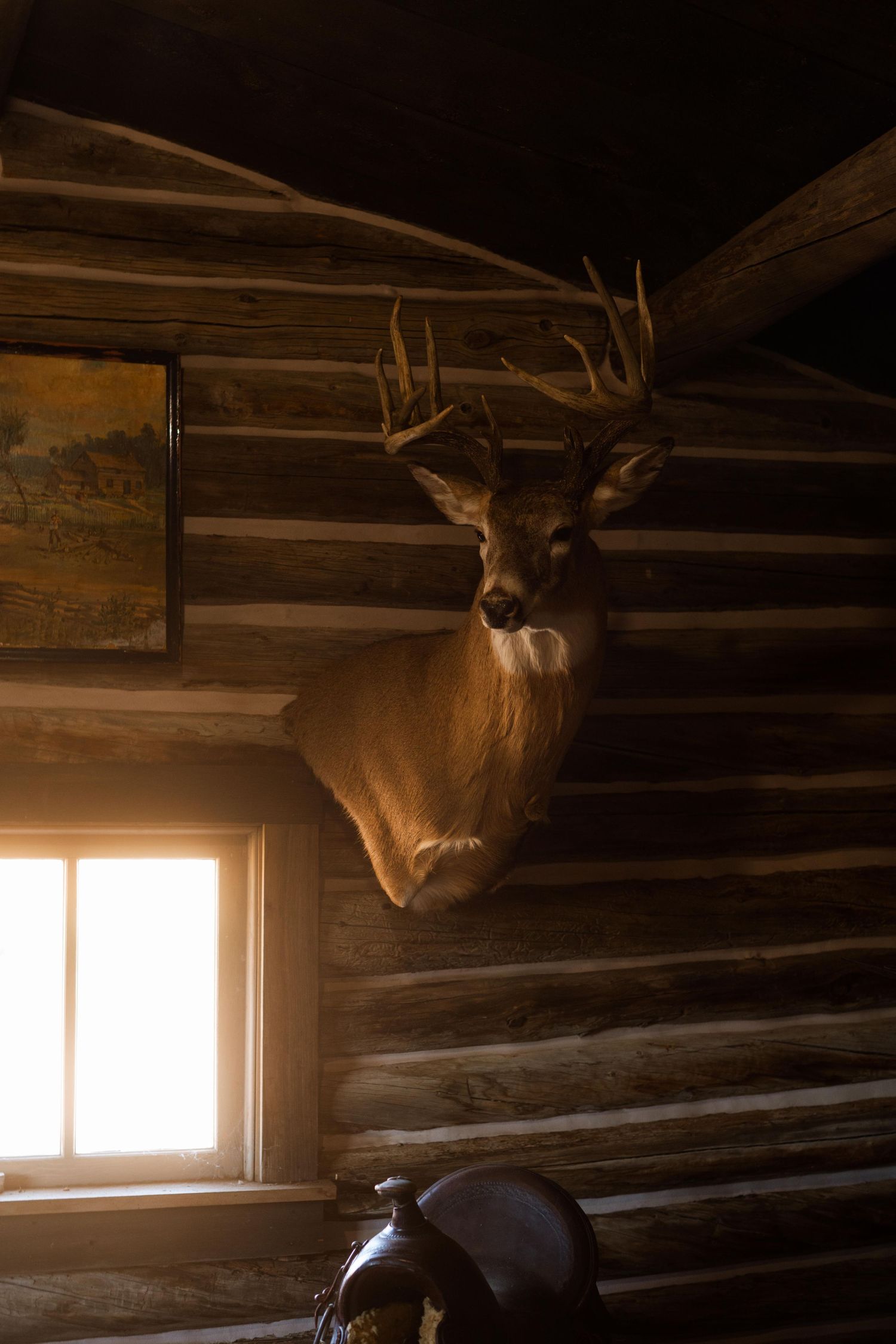 3 spear ranch cody wyoming, jackson hole, wyoming, jackson hole photographer, jackson hole photography, grand teton photographer
