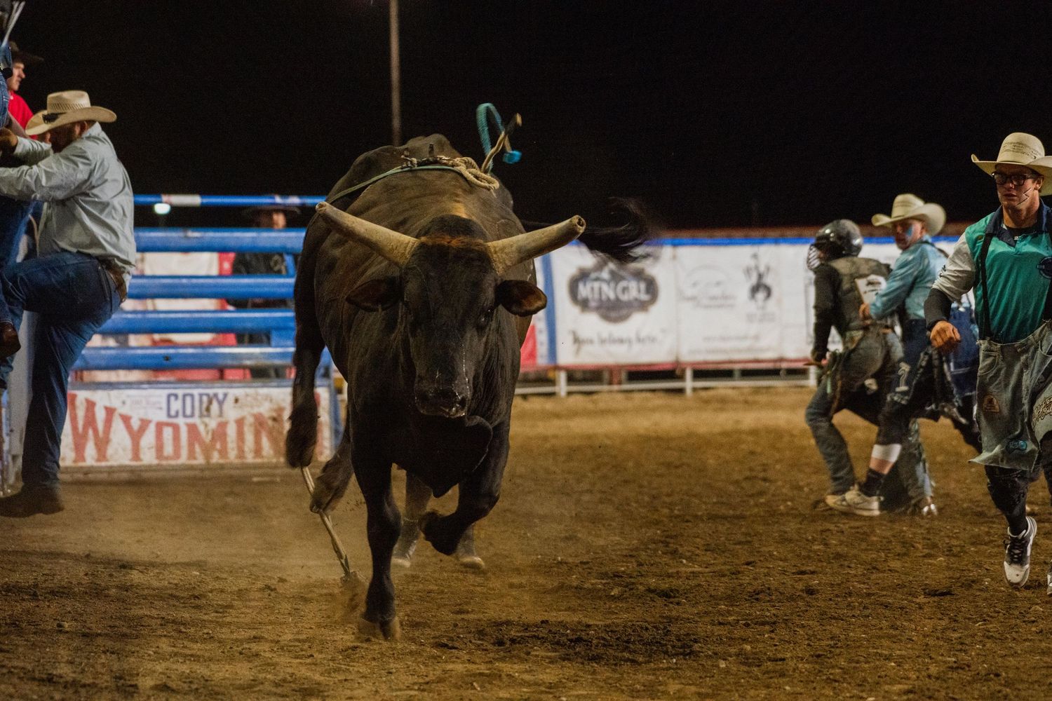 wyoming, jackson hole, wyoming, jackson hole photographer, jackson hole photography, grand teton photographer, rodeo wyoming, cody rodeo
