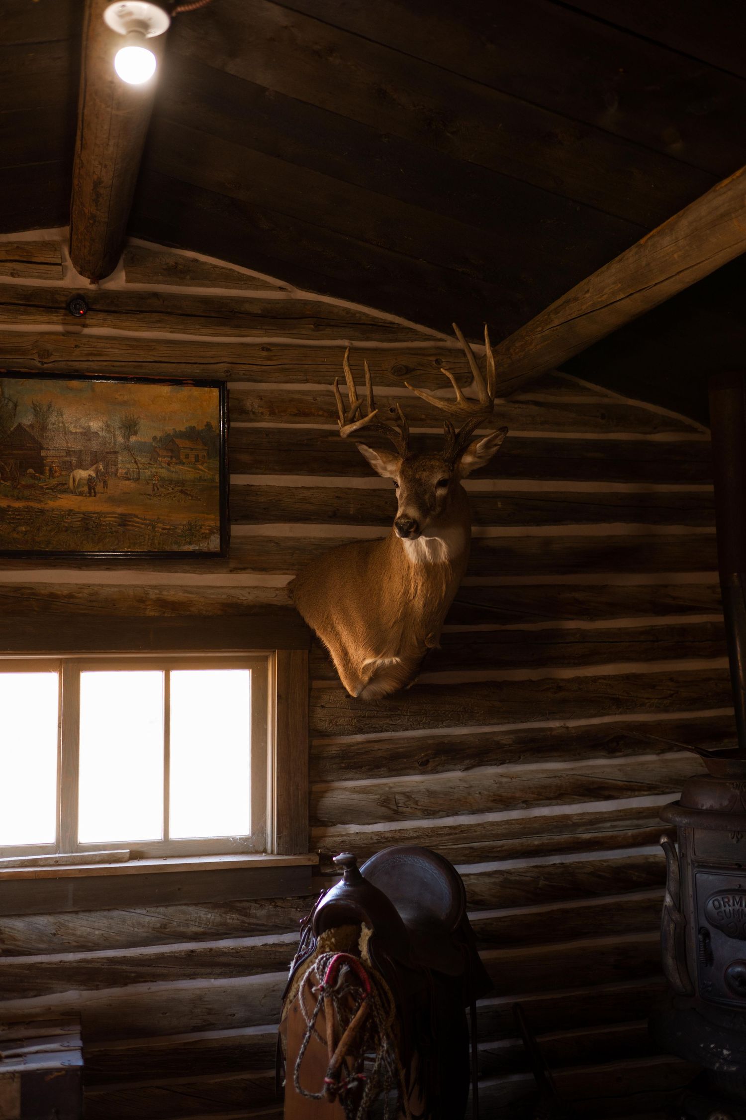 3 spear ranch cody wyoming, jackson hole, wyoming, jackson hole photographer, jackson hole photography, grand teton photographer