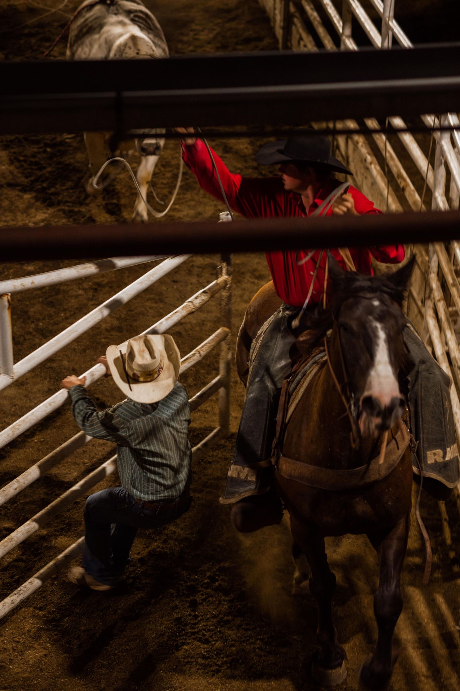 wyoming, jackson hole, wyoming, jackson hole photographer, jackson hole photography, grand teton photographer, rodeo wyoming, cody rodeo