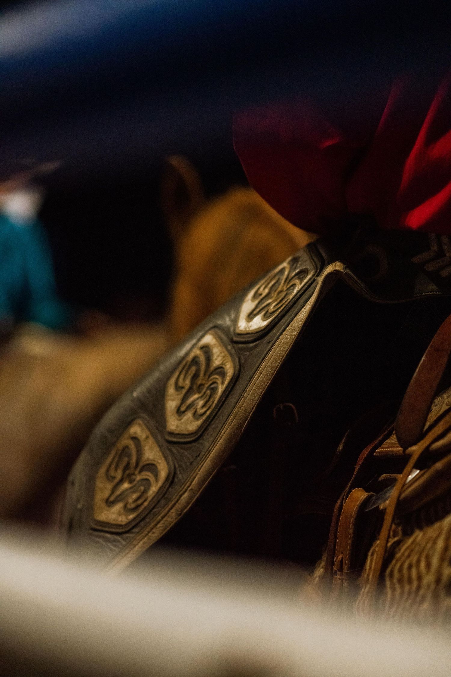 wyoming, jackson hole, wyoming, jackson hole photographer, jackson hole photography, grand teton photographer, rodeo wyoming, cody rodeo