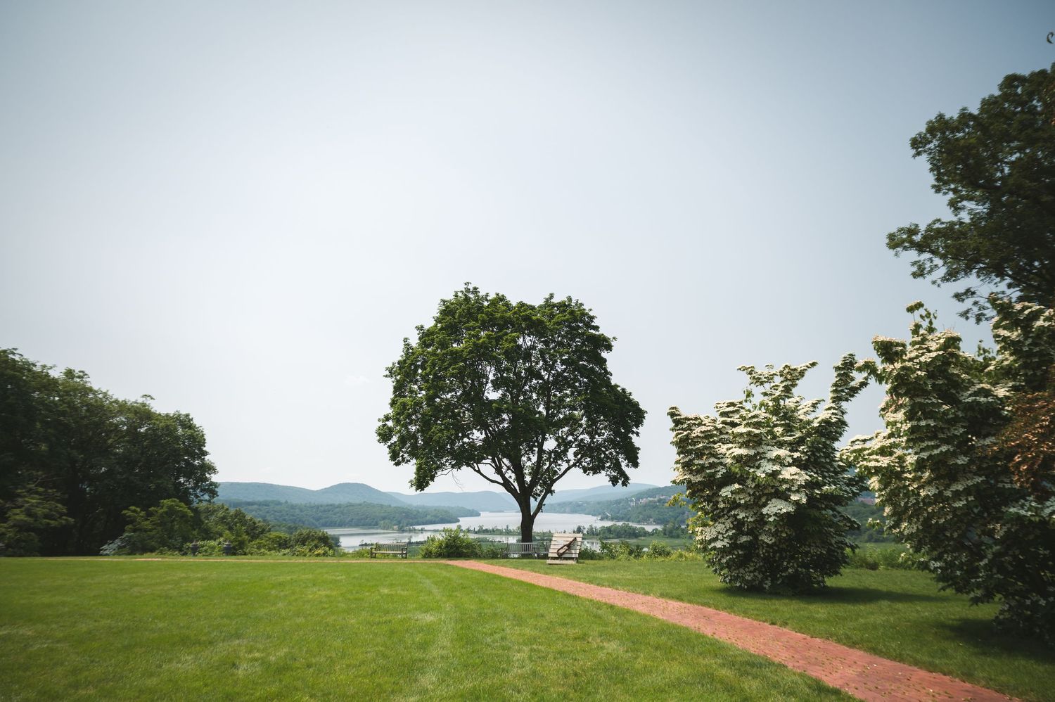 A lone tree stands on a grassy hilltop overlooking a scenic lake view with a red brick path leading towards it.