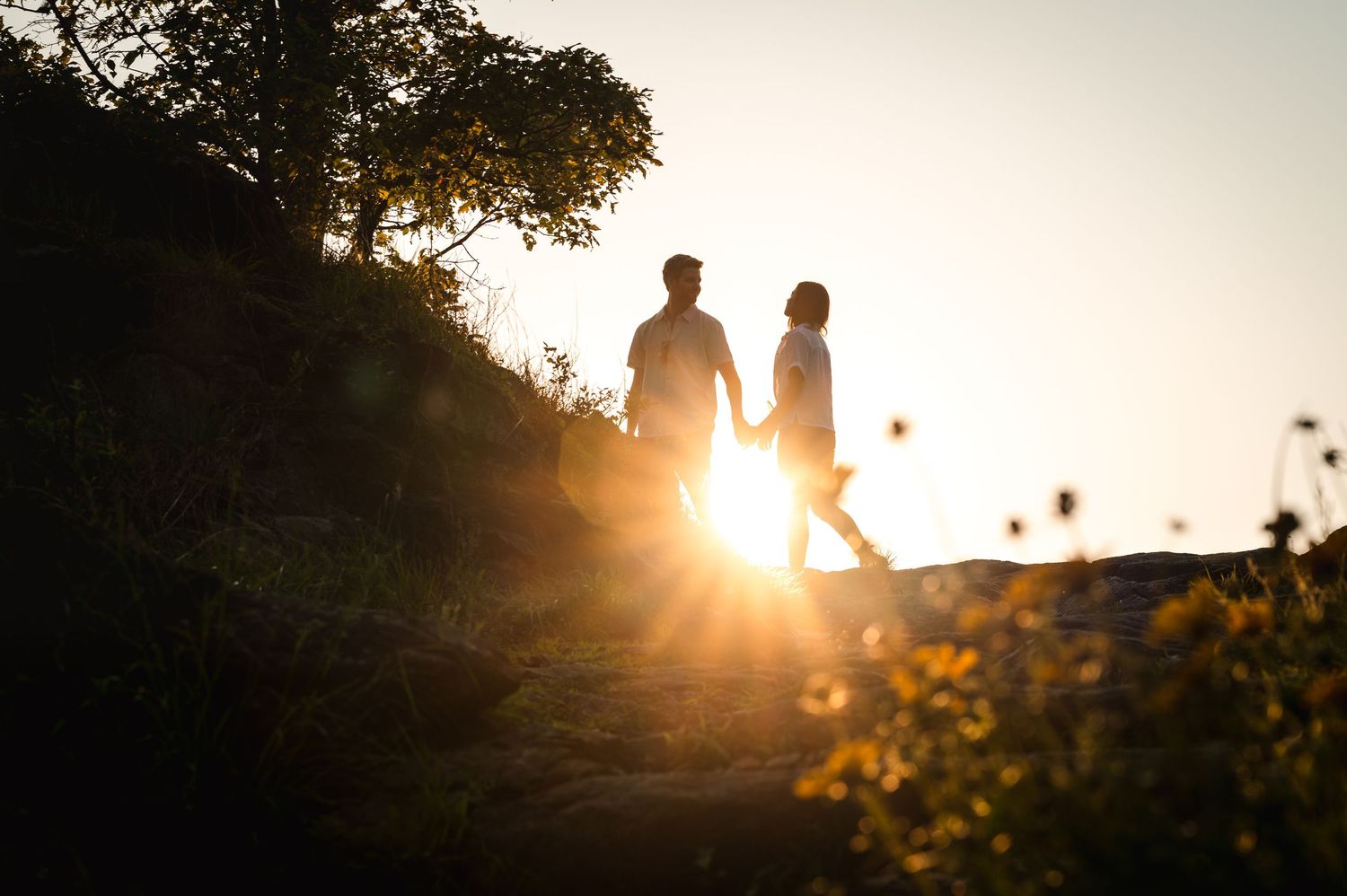 Silhouetted figures walk through a sun-drenched garden with golden flowers and glowing sunset in the background.