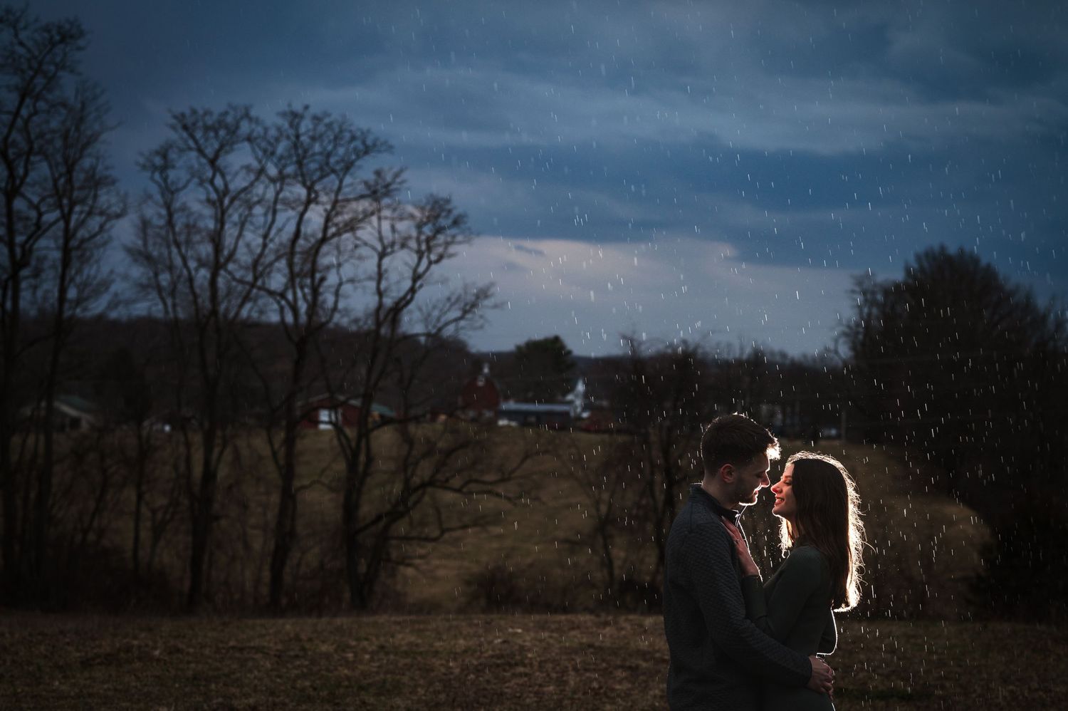 A backlit silhouette stands together in a field at dusk with a moody stormy sky and dark trees in the background.