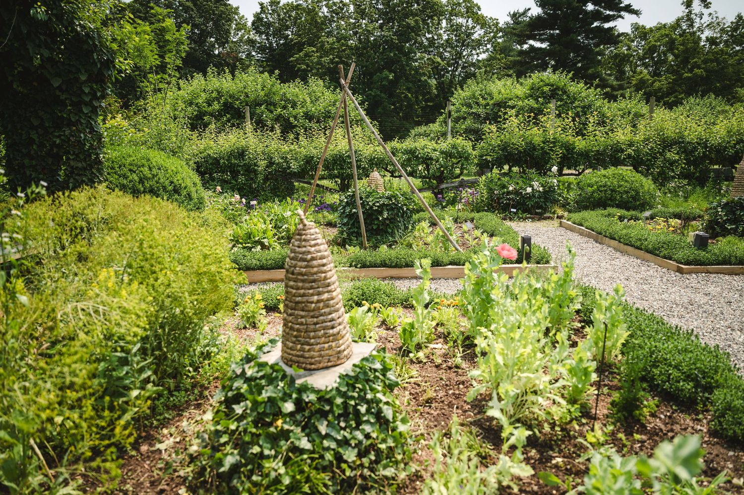 A peaceful garden path winds through lush greenery with raised garden beds and natural stone landscaping details.