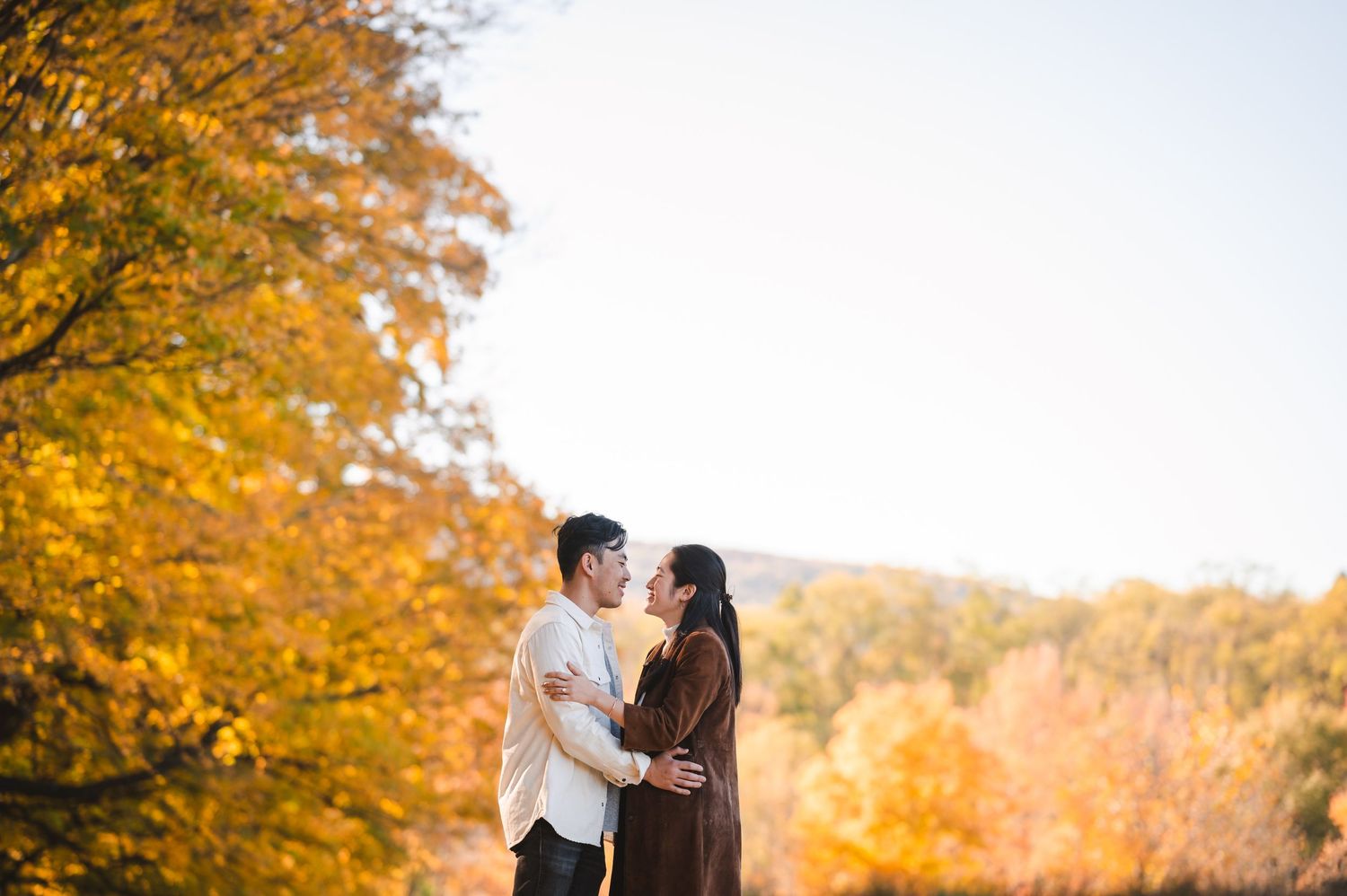 A couple embraces in a romantic autumn setting surrounded by vibrant yellow and orange fall foliage.