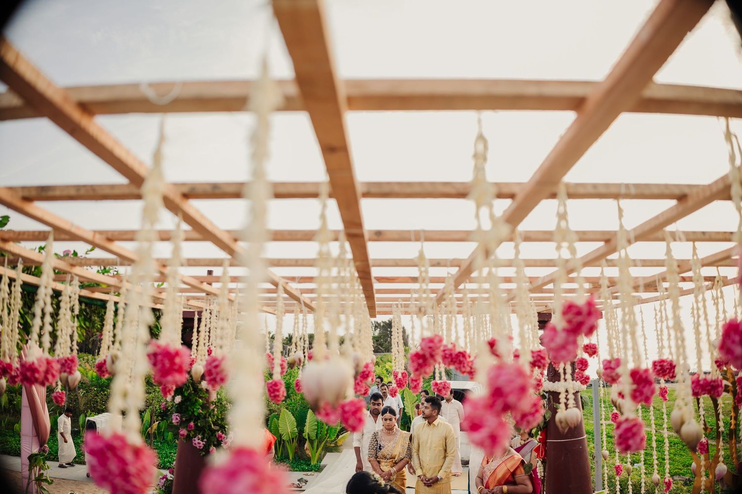 Pink orchids bloom inside a wooden-framed greenhouse with natural sunlight streaming through the transparent roof.