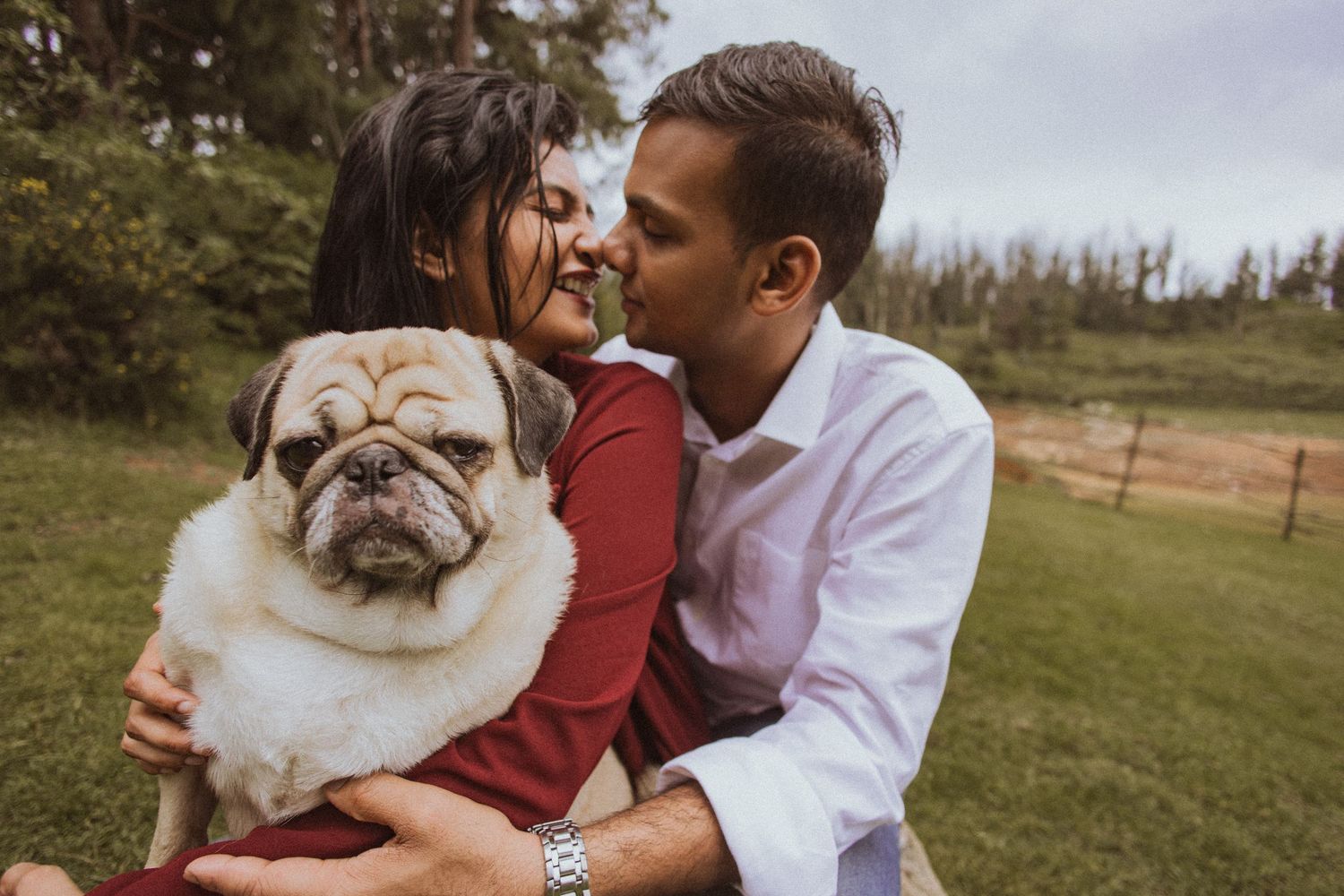A happy pug dog is held and kissed while sitting in a grassy outdoor field during a photoshoot.