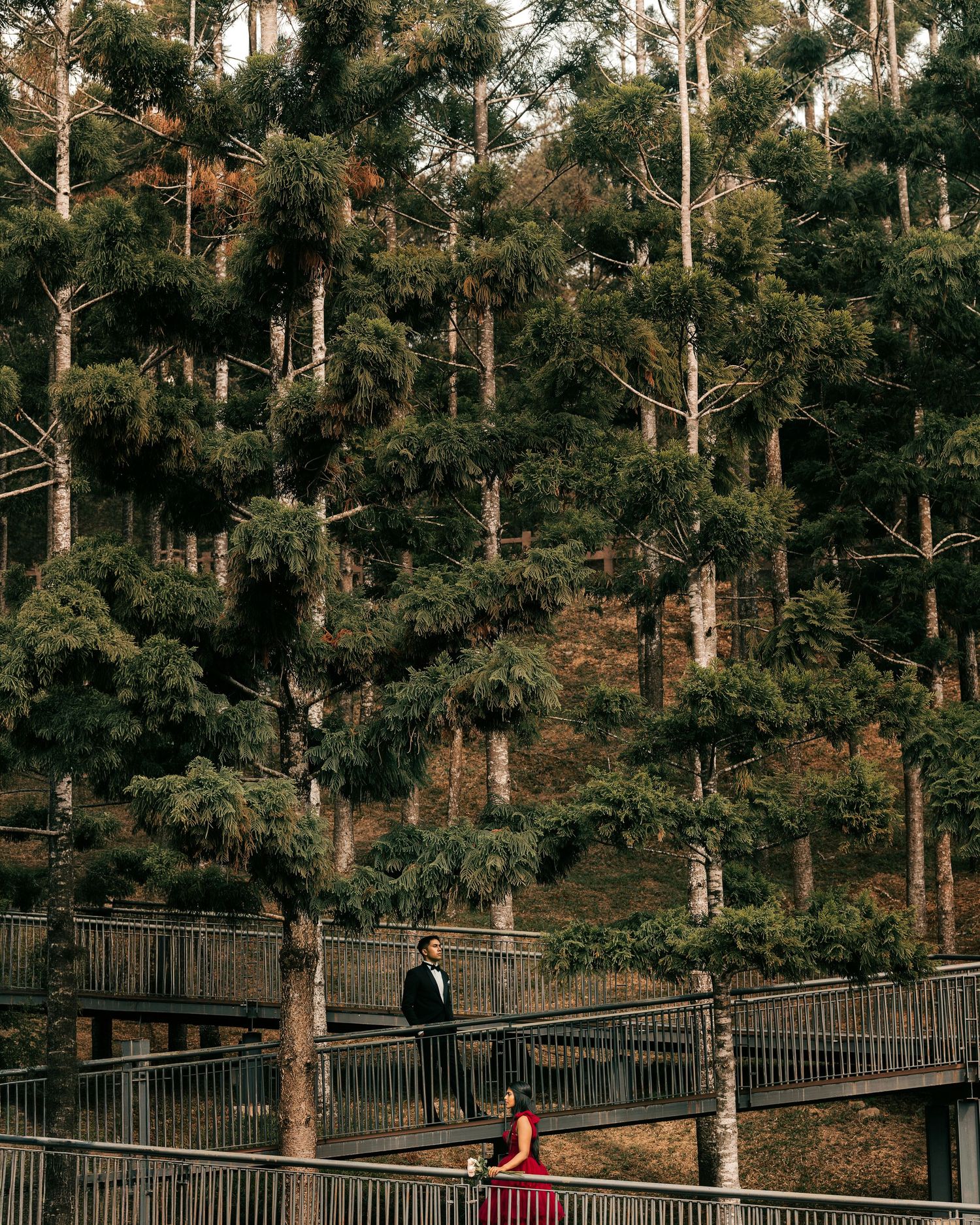 Couple in formal attire standing on a wooden bridge surrounded by tall pine trees in a lush forest setting.
