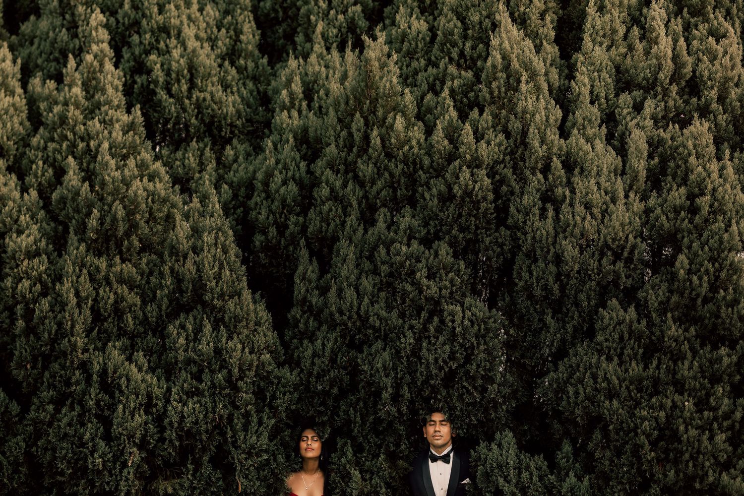 Couple in formal attire standing before lush green pine trees, elegant wedding portrait in a forest setting.