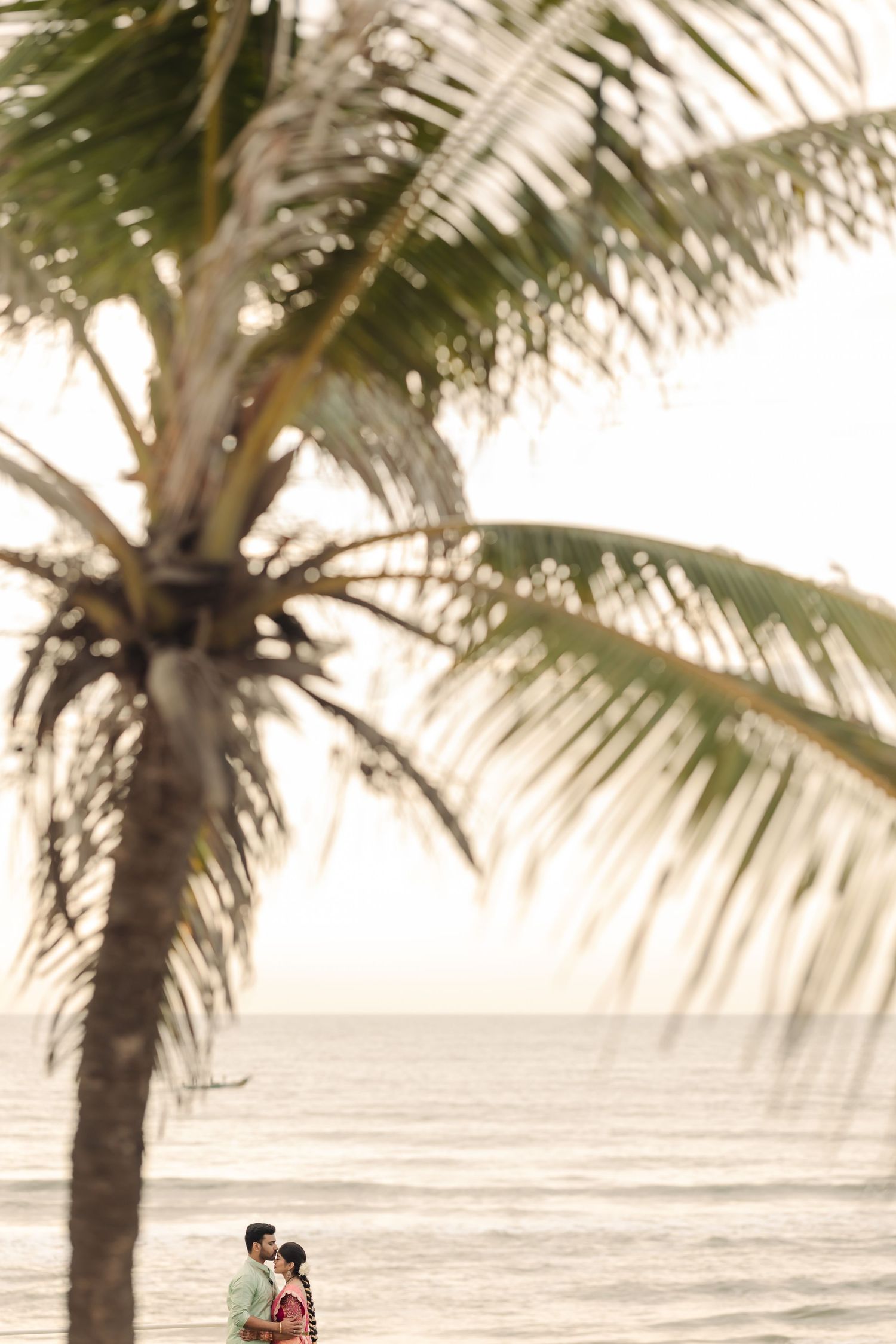Palm trees line a tranquil beach shoreline at sunset creating a serene tropical landscape.