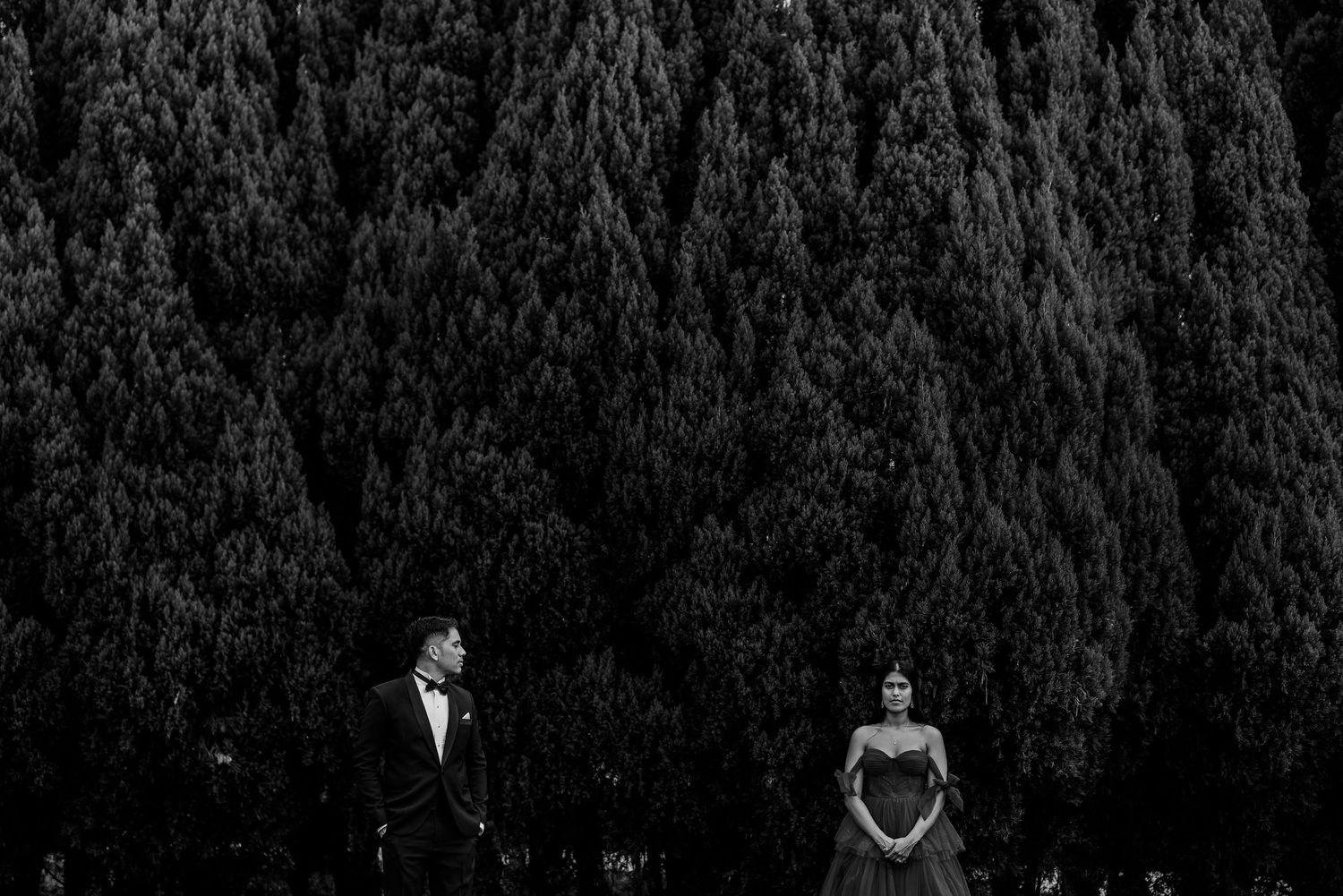 Black and white wedding photo of couple standing apart before towering dark evergreen trees.