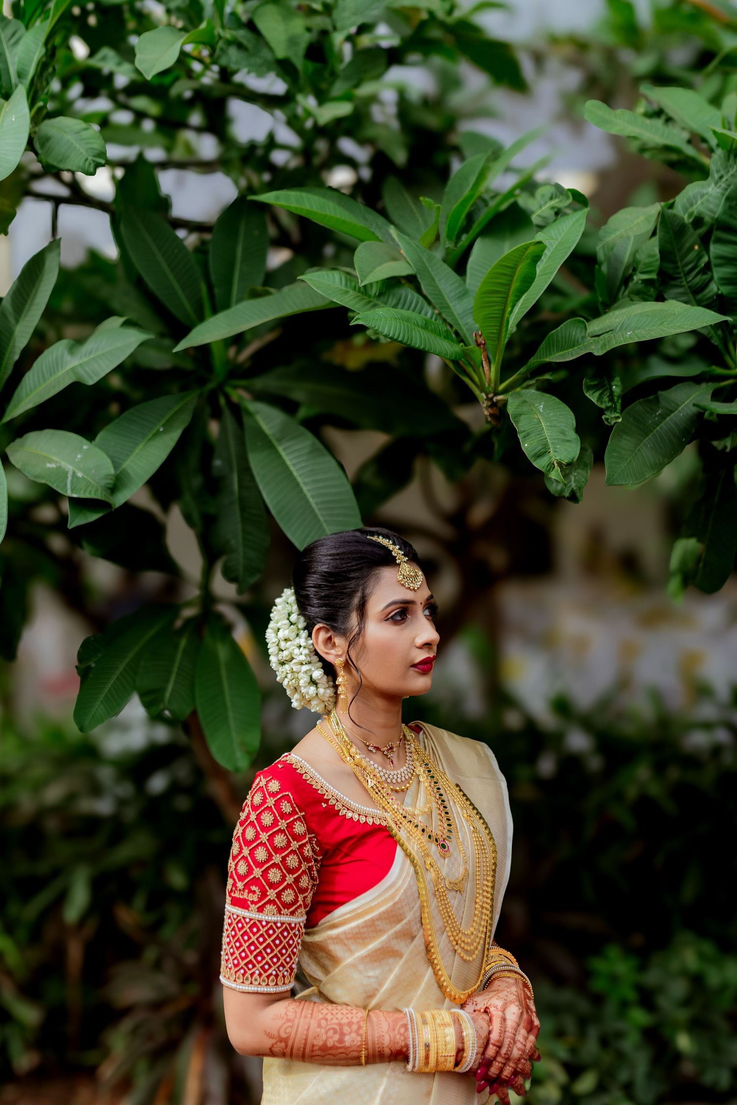 Traditional South Asian bridal attire featuring cream silk saree with red blouse and ornate gold jewelry against green foliage.