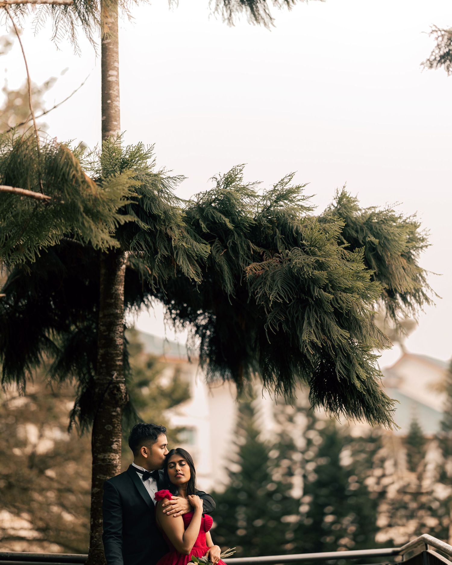 Couple embracing romantically under a tall pine tree with mountain views in a scenic outdoor setting.