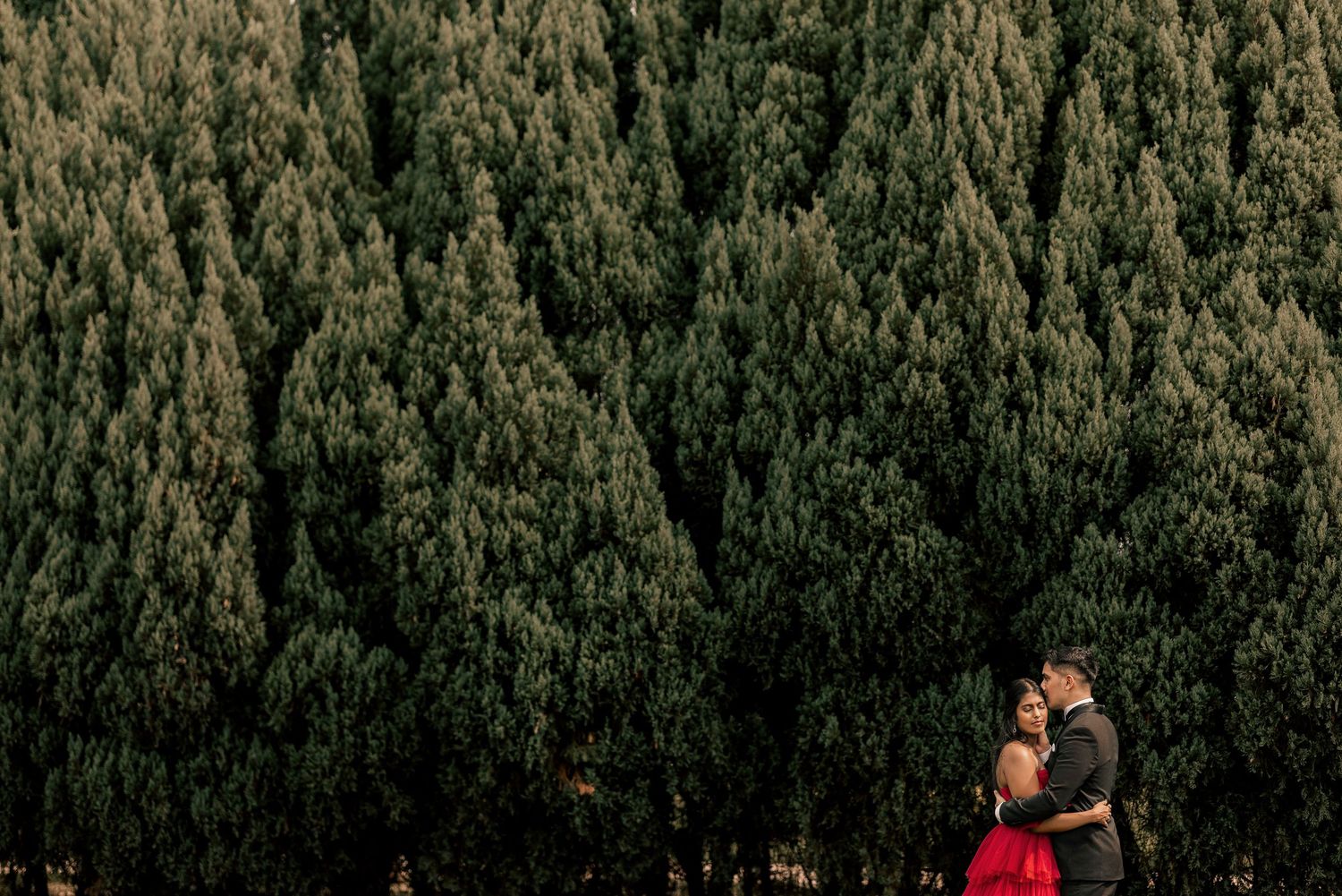 Couple embracing in front of lush green pine forest, woman in red dress, romantic outdoor engagement photo.