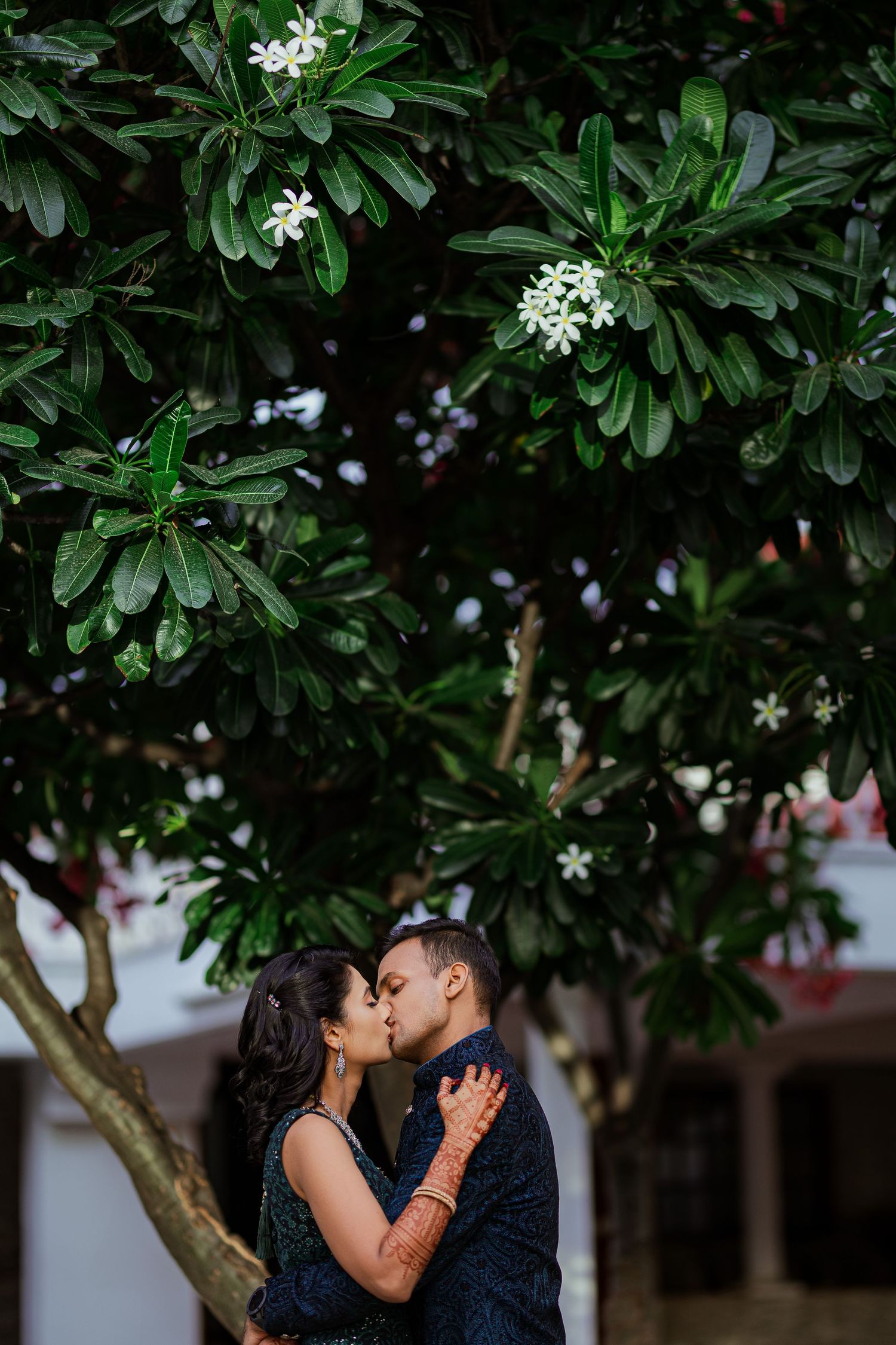 A romantic moment captured under a blooming plumeria tree with white flowers and lush green foliage.