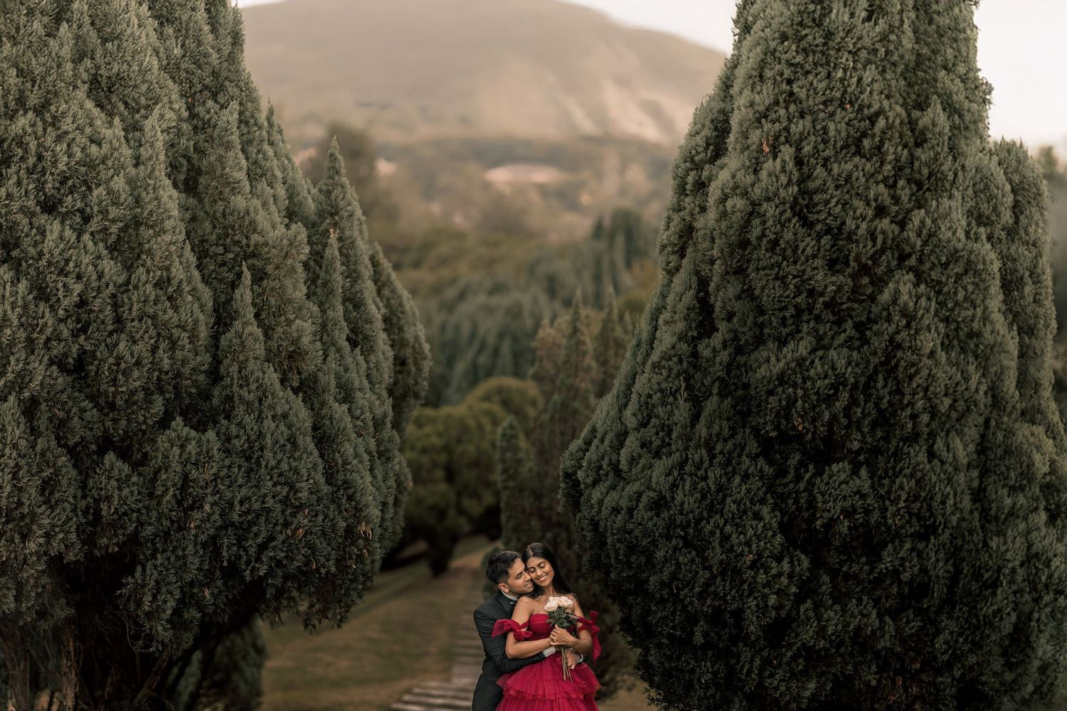 Couple embracing romantically between tall cypress trees with misty mountain backdrop in an outdoor engagement photo.